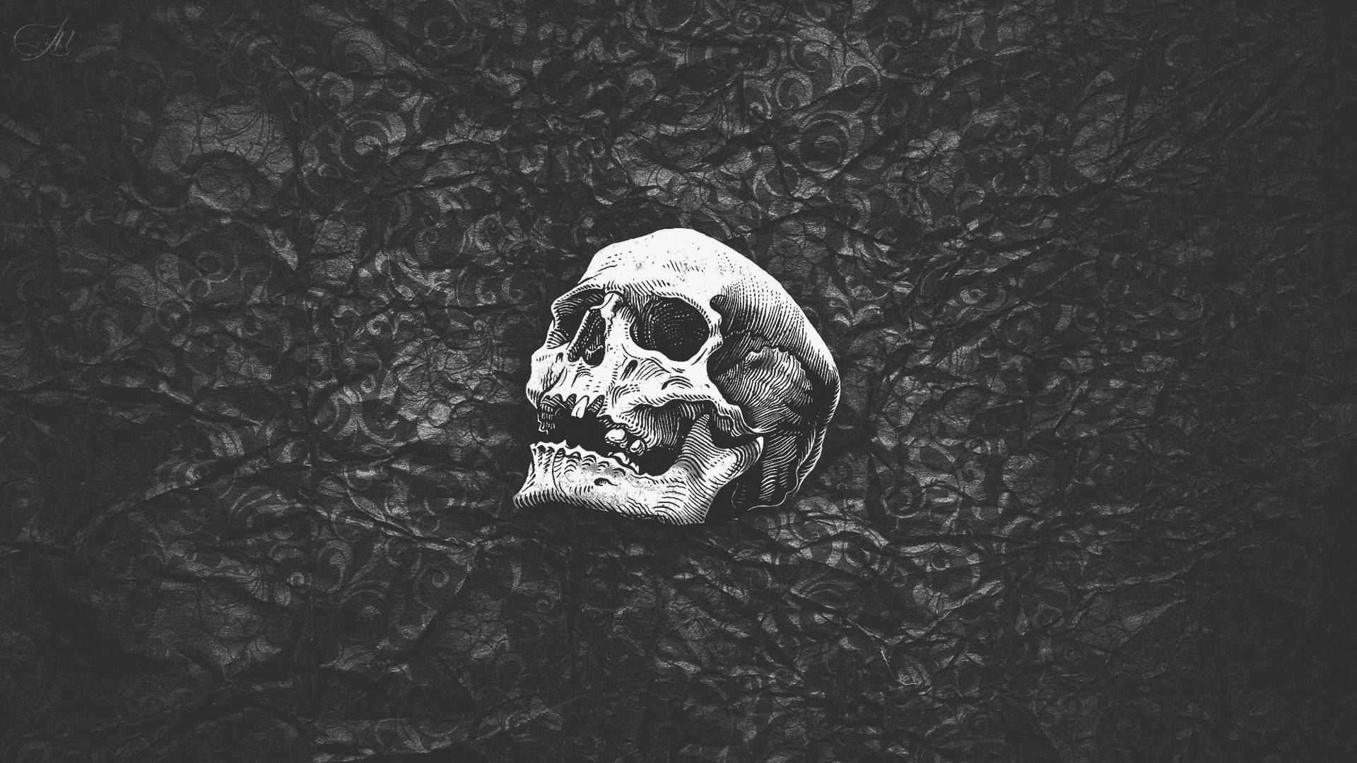 Black Skull, stark white skull, intricate linework, Full HD Desktop Wallpaper