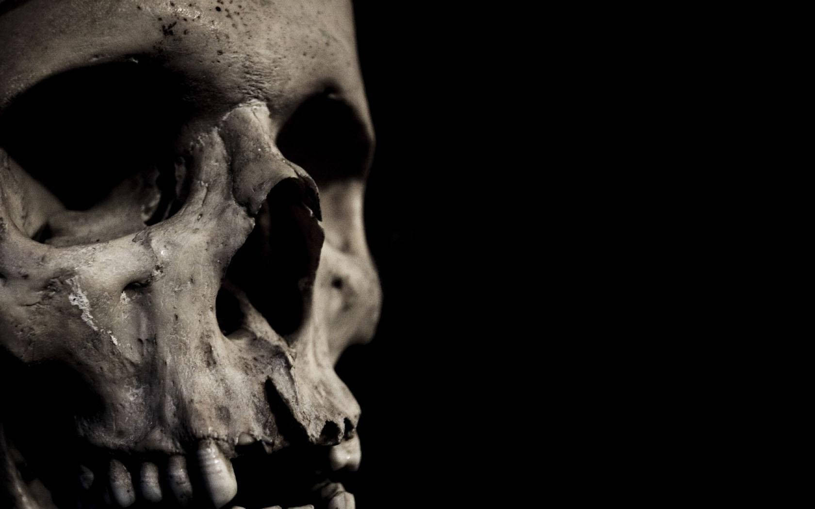 black skull, human skull, teeth, HD Desktop Wallpaper