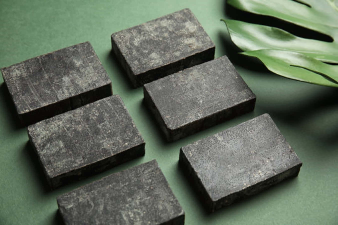 Black Soap, monstera leaf, muted green surface, HD Desktop Wallpaper
