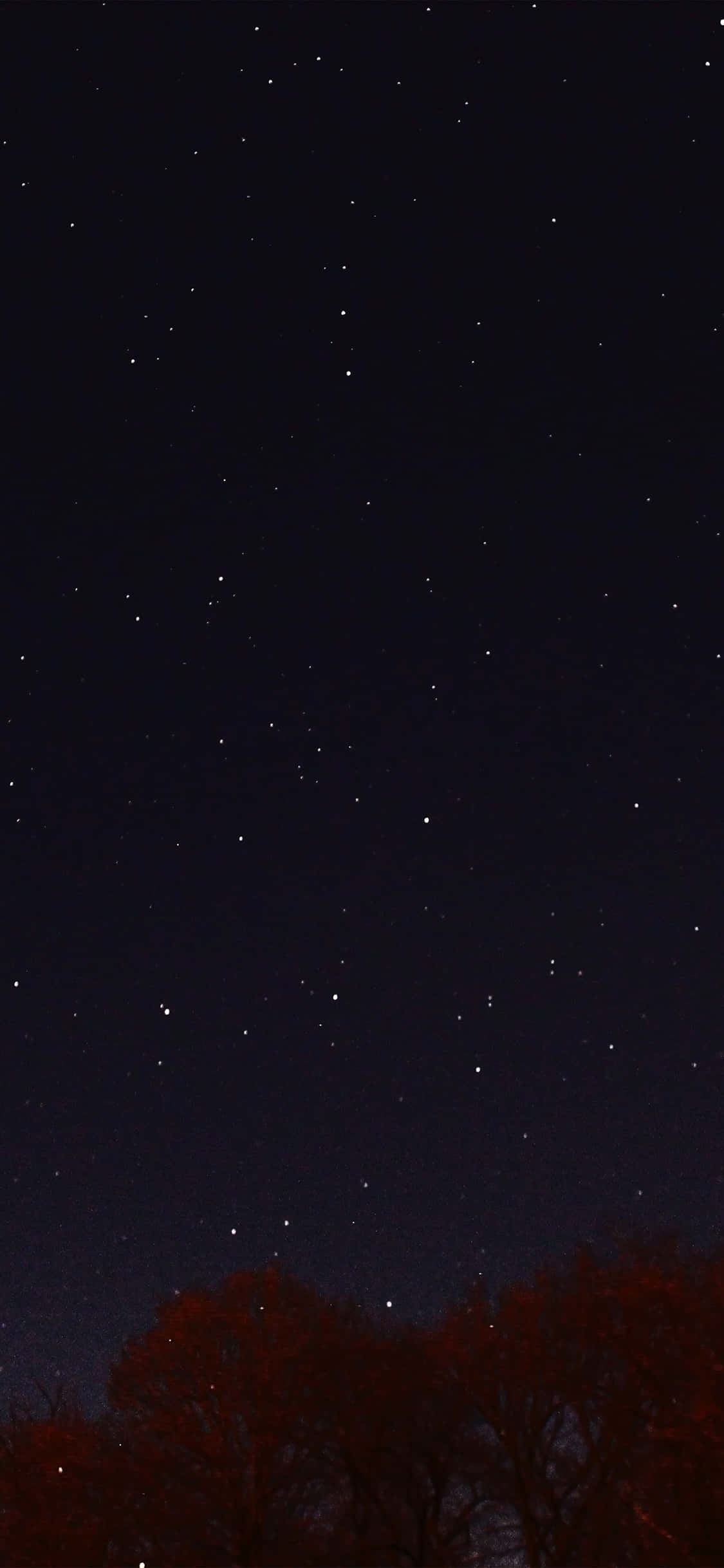 Black Stars iPhone, starry night sky, dark silhouetted trees, Full HD Phone Wallpaper