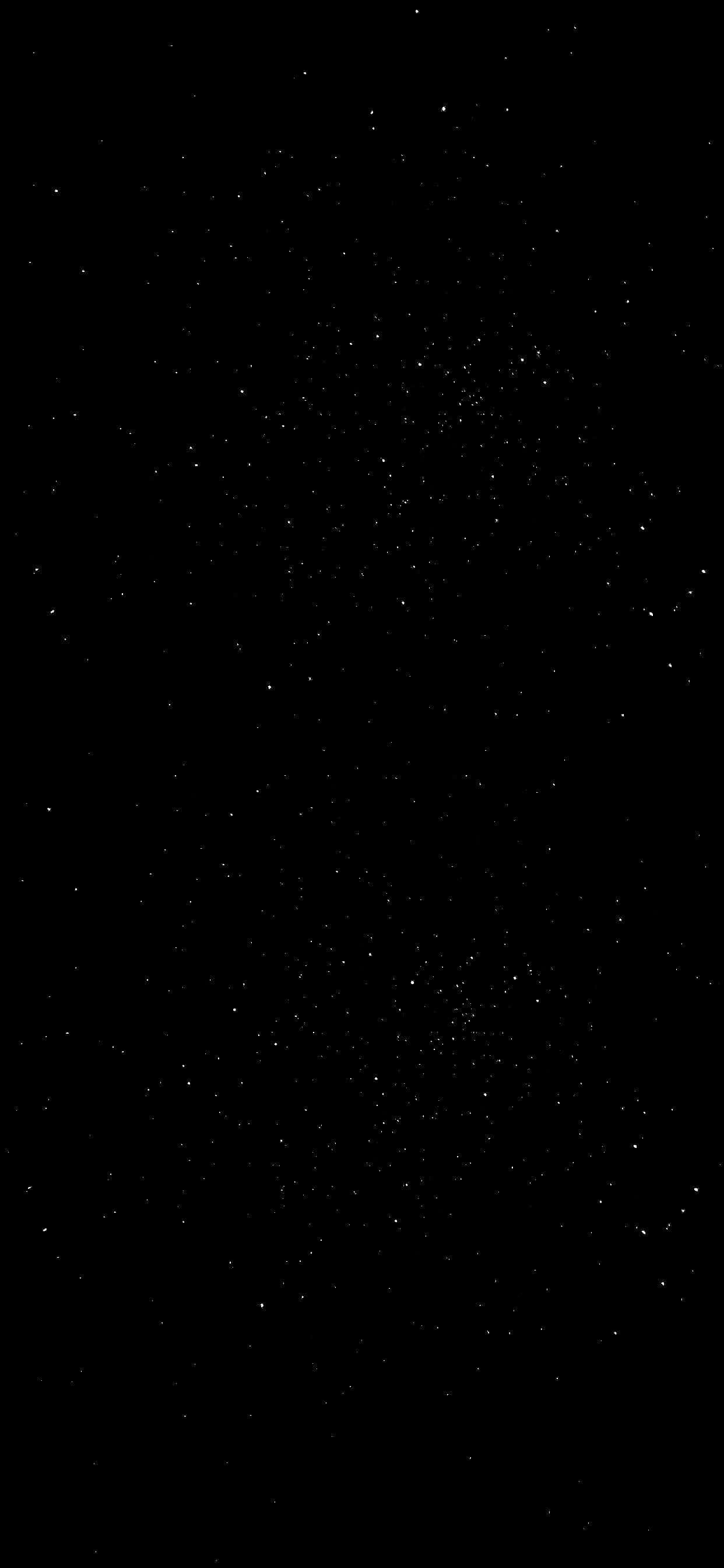 Black Stars iPhone, black sky, twinkling stars, 2K Phone Wallpaper