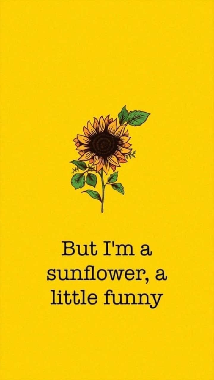 Black Sunflower, sunflower, green leaves, HD Phone Wallpaper