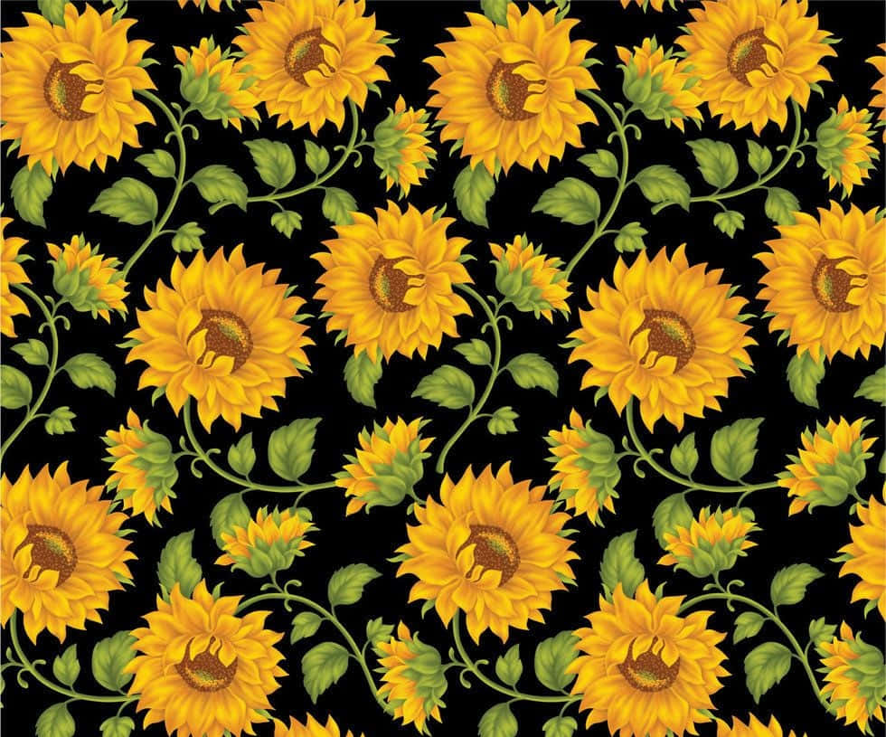 Black Sunflower, sunflowers, green stems, SD Desktop Wallpaper