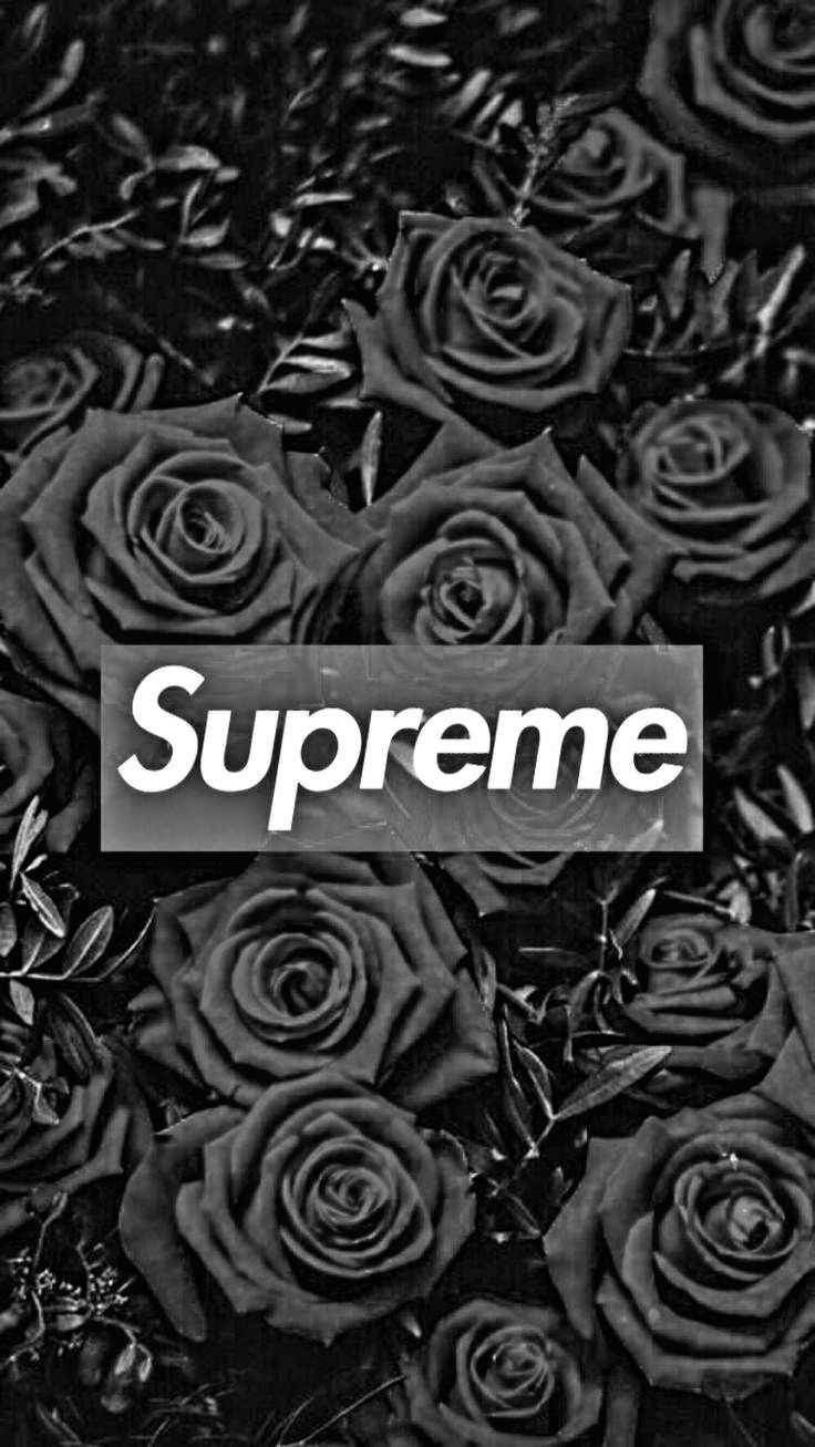 Black Supreme, greyscale roses, Supreme logo, HD Phone Wallpaper