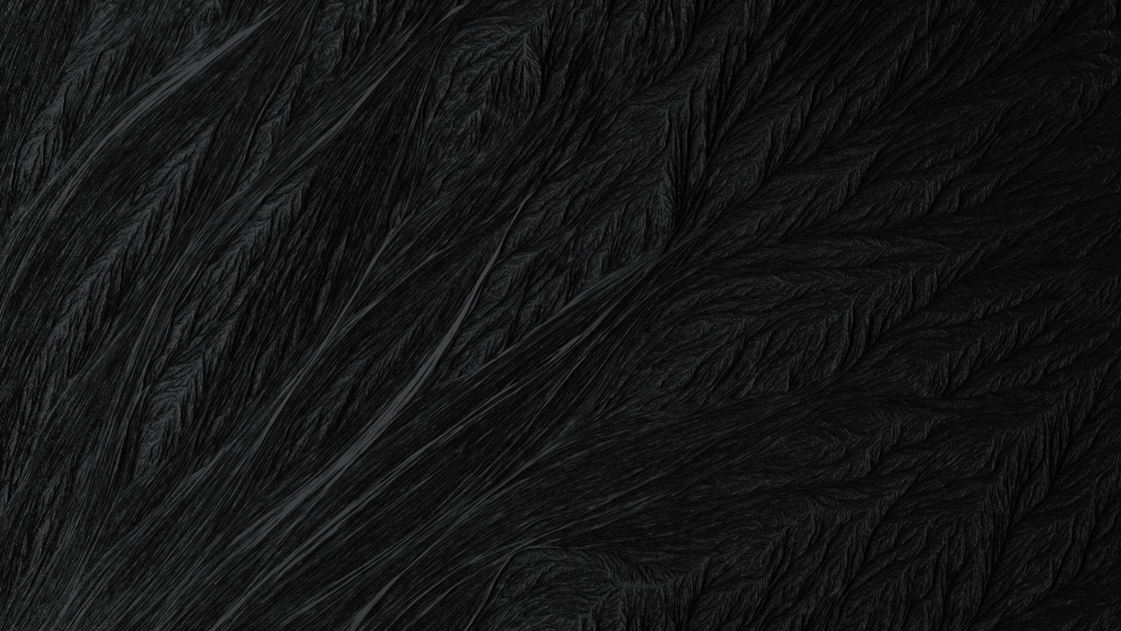 Black Texture, dark textured surface, feather-like patterns, 4K Desktop Wallpaper