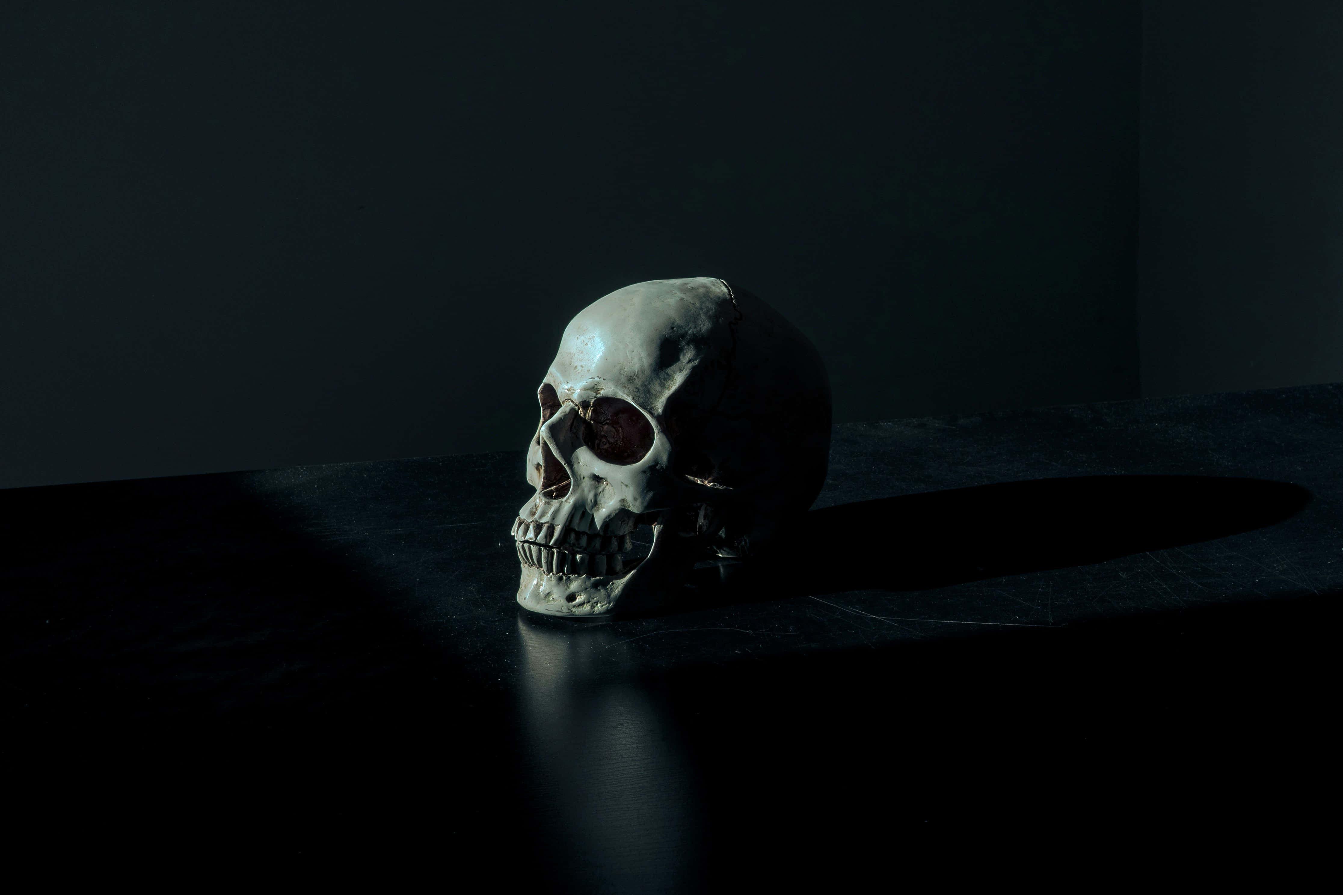 human skull, dark surface, dramatic side lighting, 4K Desktop Wallpaper