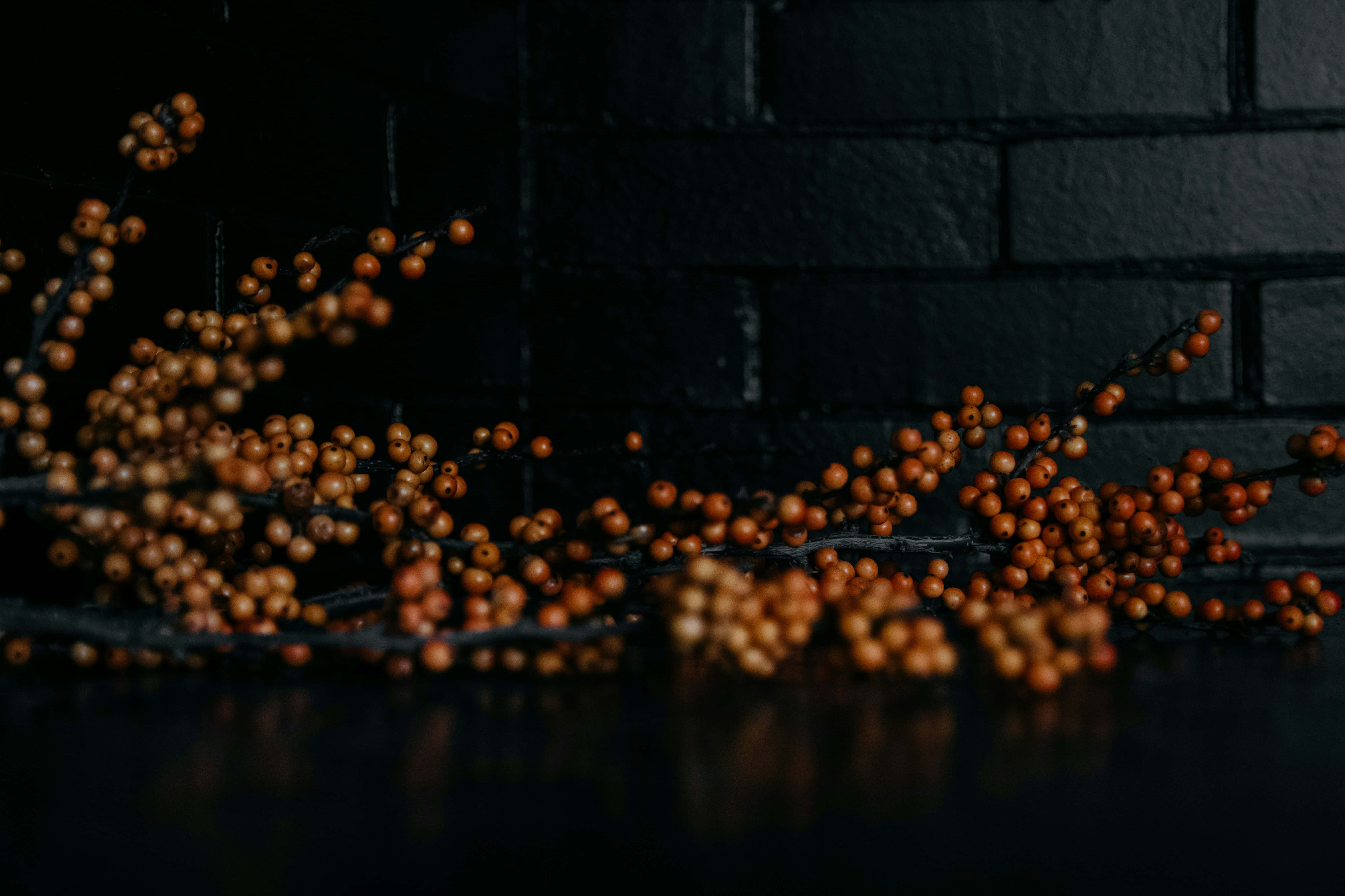 amber berries, glossy black surface, textured black brick wall, 5K Desktop Wallpaper