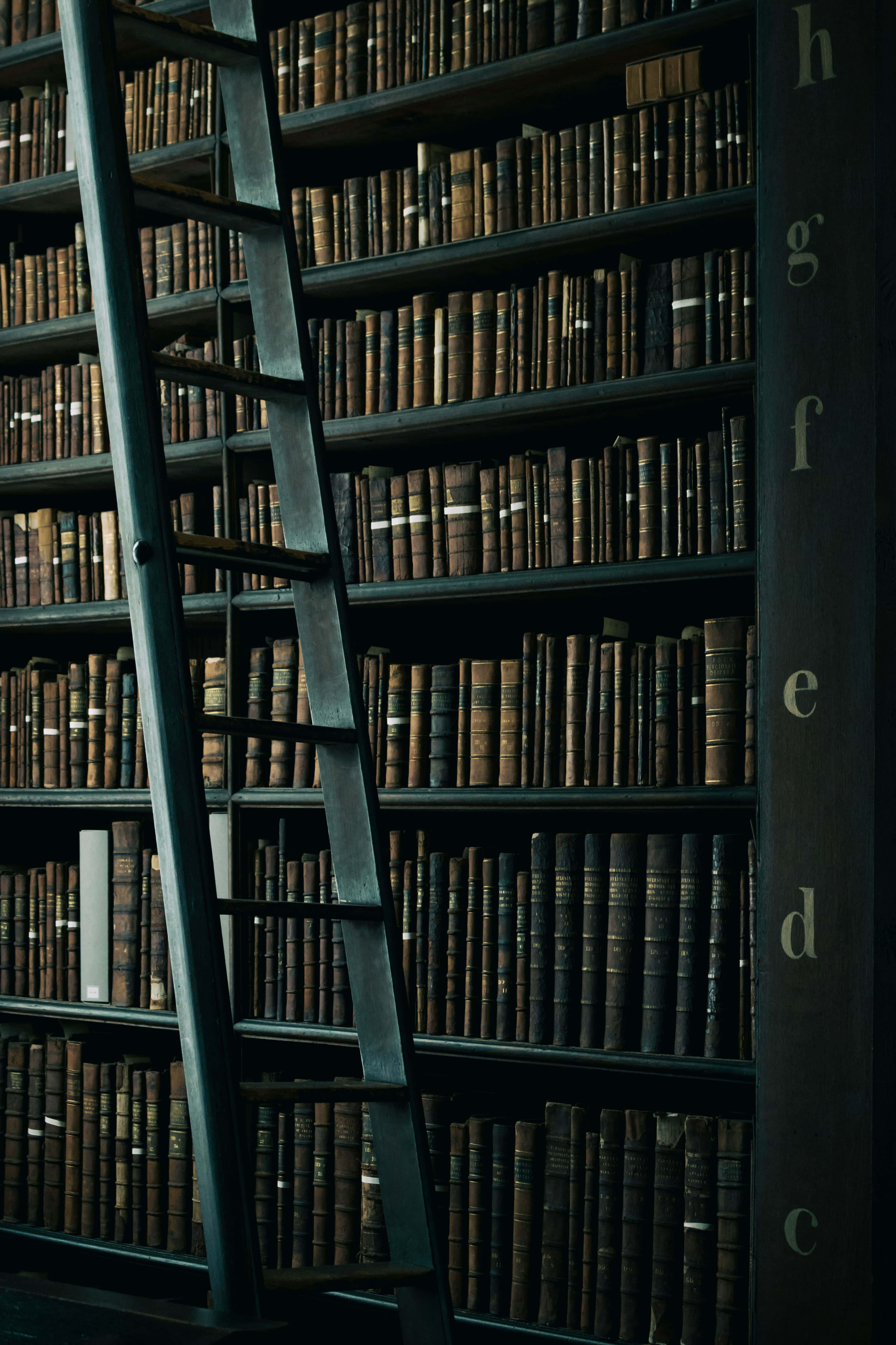 tall metal ladder, towering shelves, aged leather-bound books, 5K Phone Wallpaper