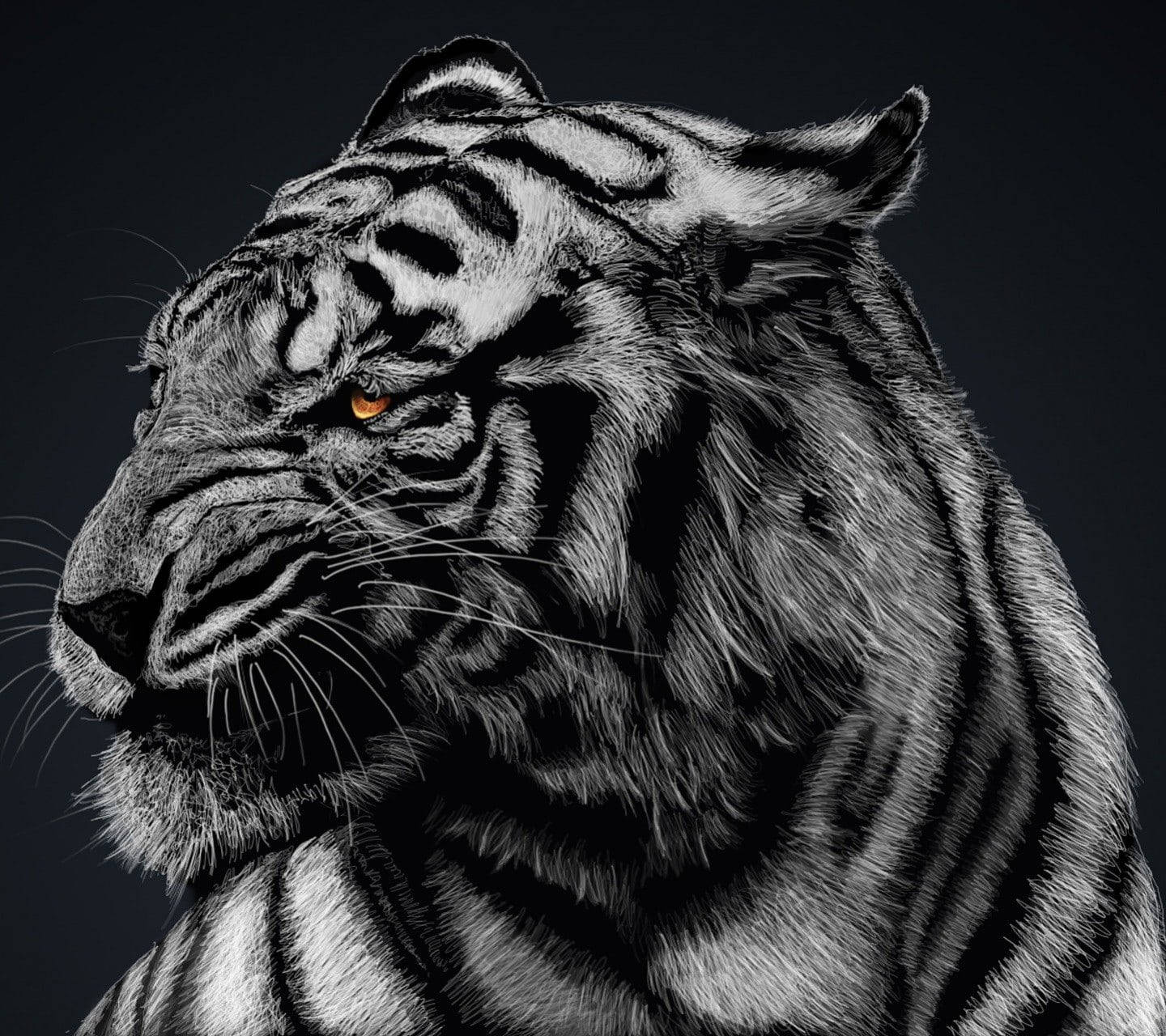 Black Tiger, tiger's head, piercing orange eyes, HD Desktop Wallpaper