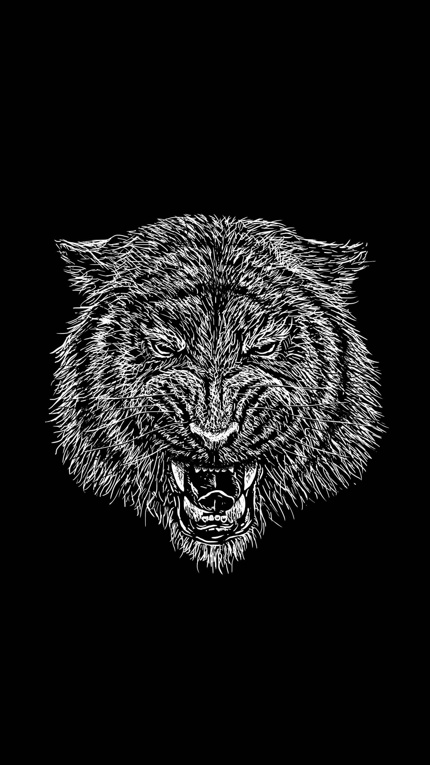 Black Tiger, tiger head, bared teeth, 2K Phone Wallpaper