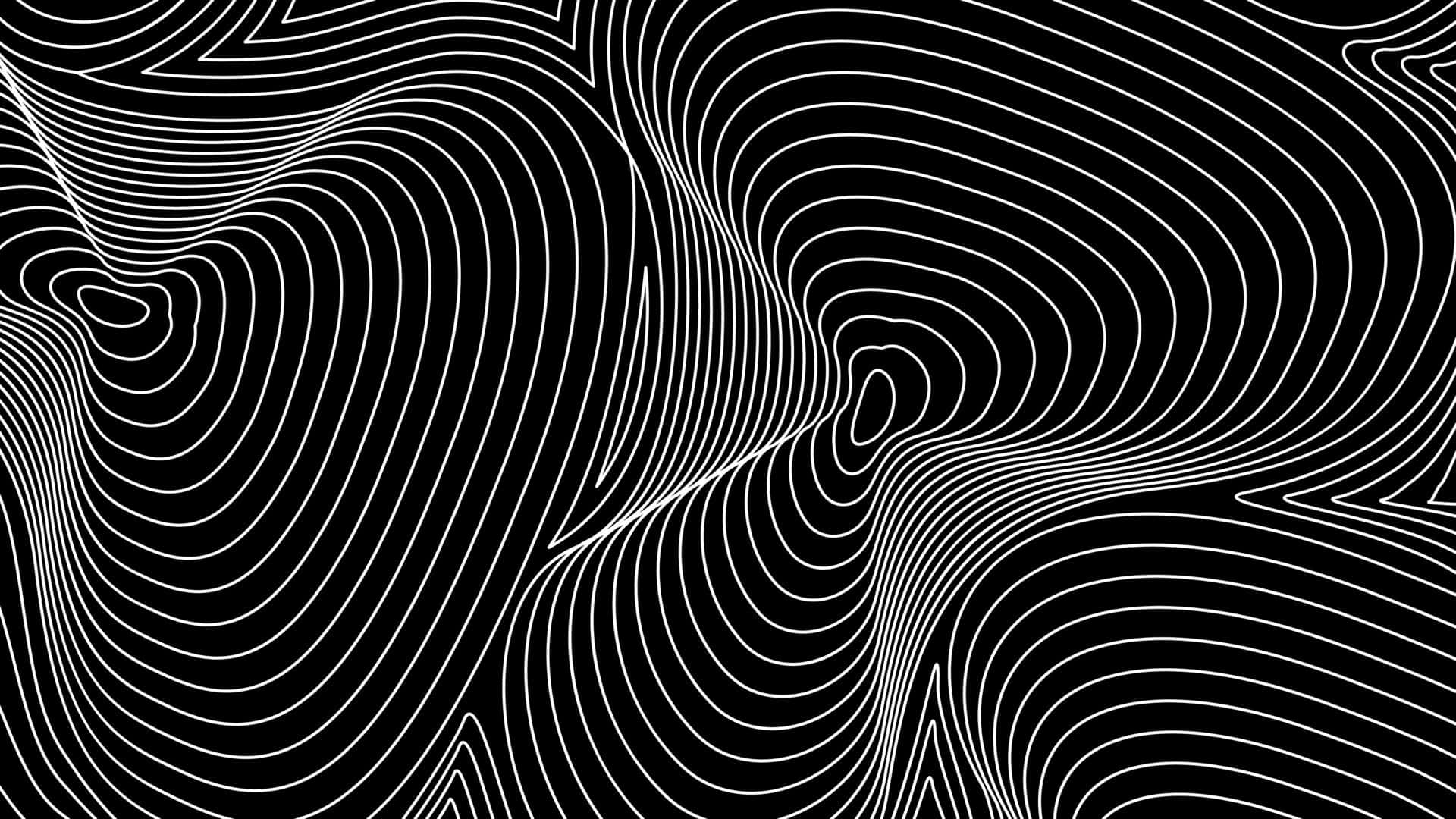 abstract blackand white topography, black and white, flowing wavy lines, Full HD Desktop Wallpaper