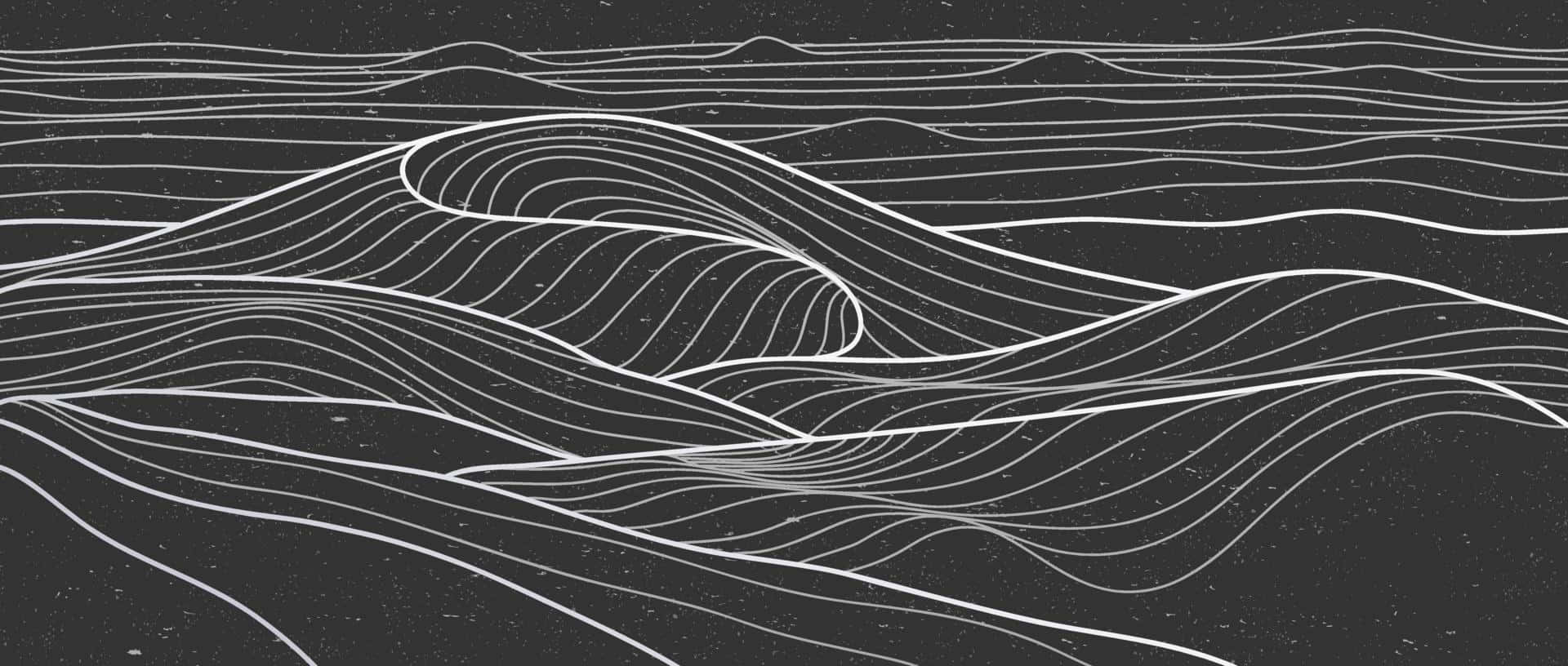 abstract black topographic lines, white lines, undulating wave patterns, Full HD Desktop Wallpaper