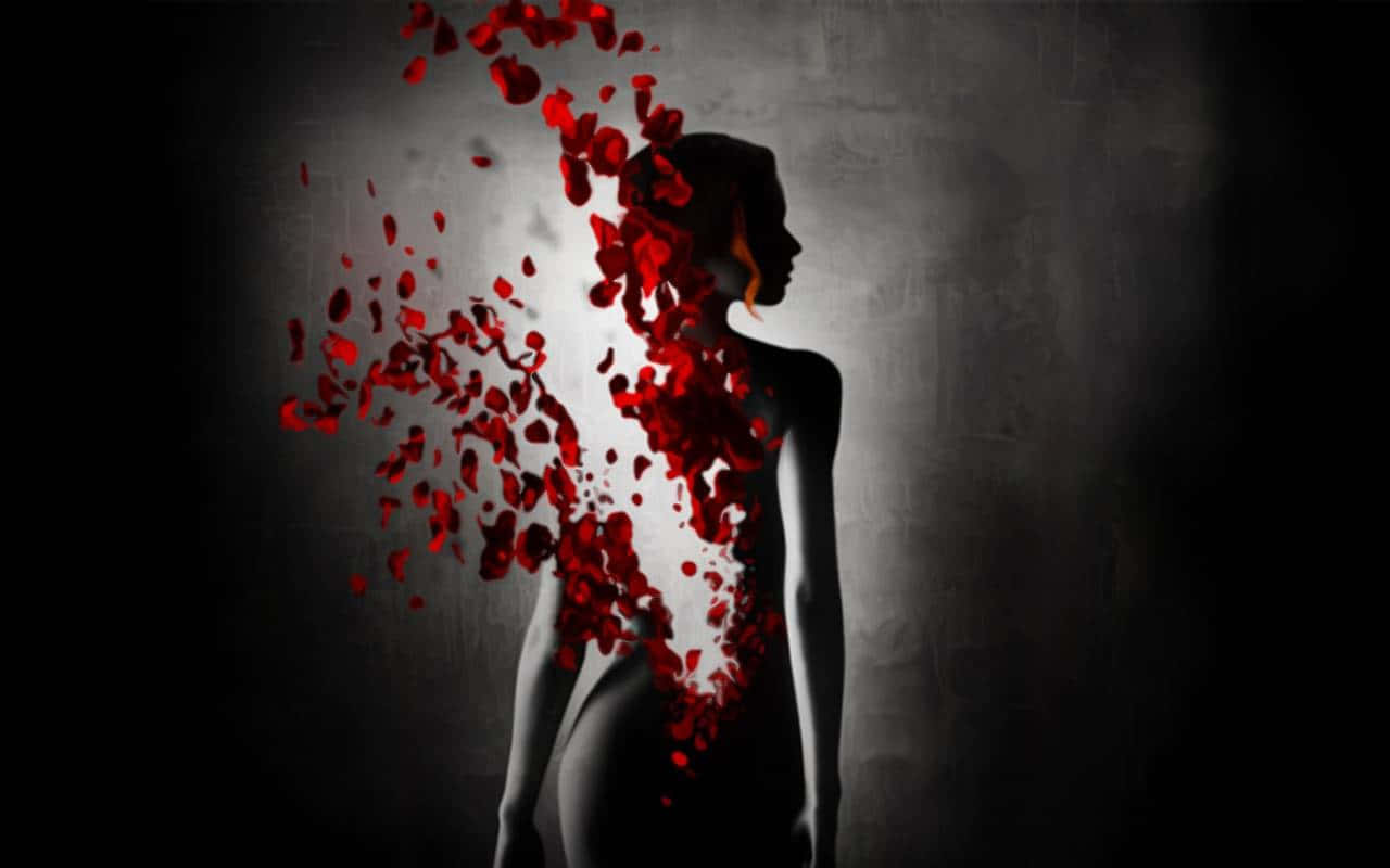 black, white, red, HD Desktop Wallpaper