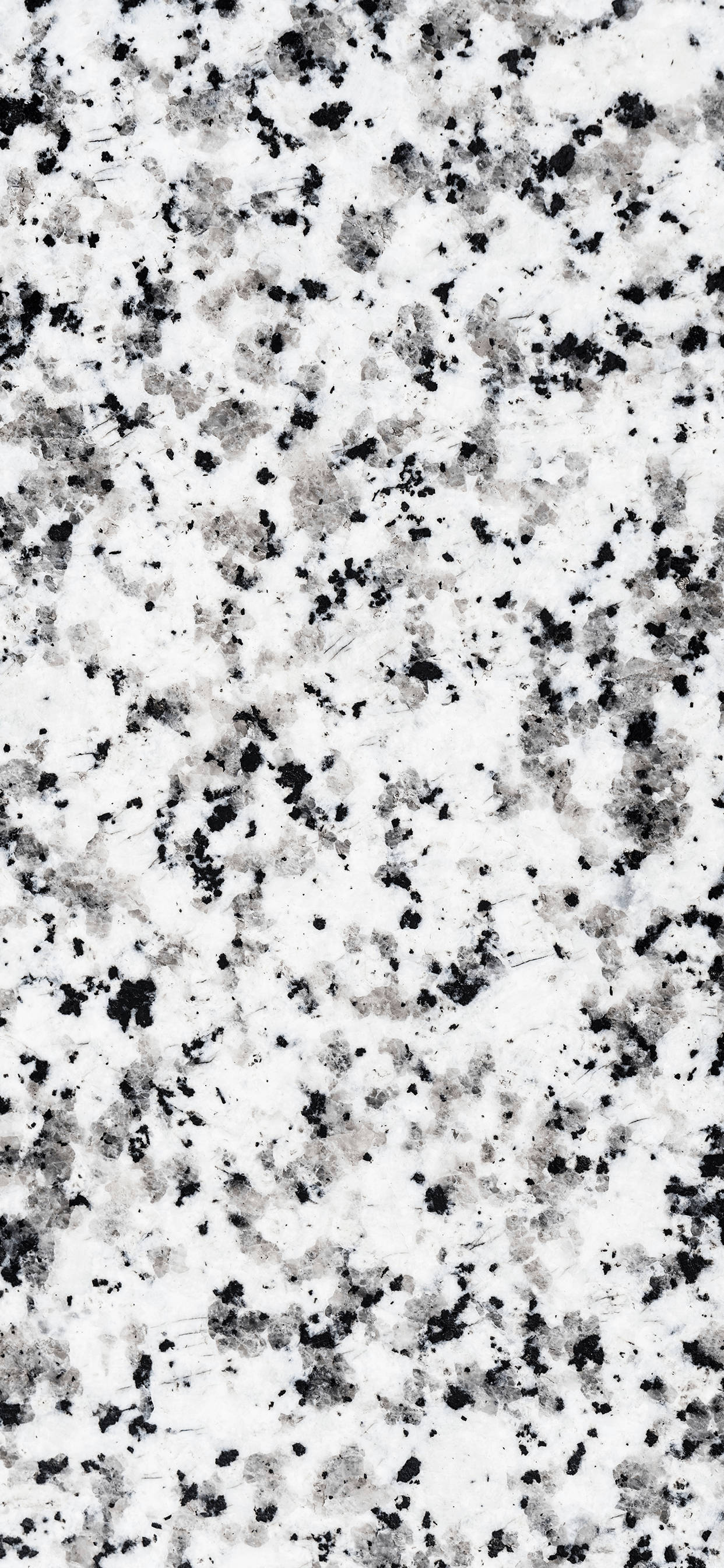 Dalmatian, black and white marble, white granite, 2K Phone Wallpaper