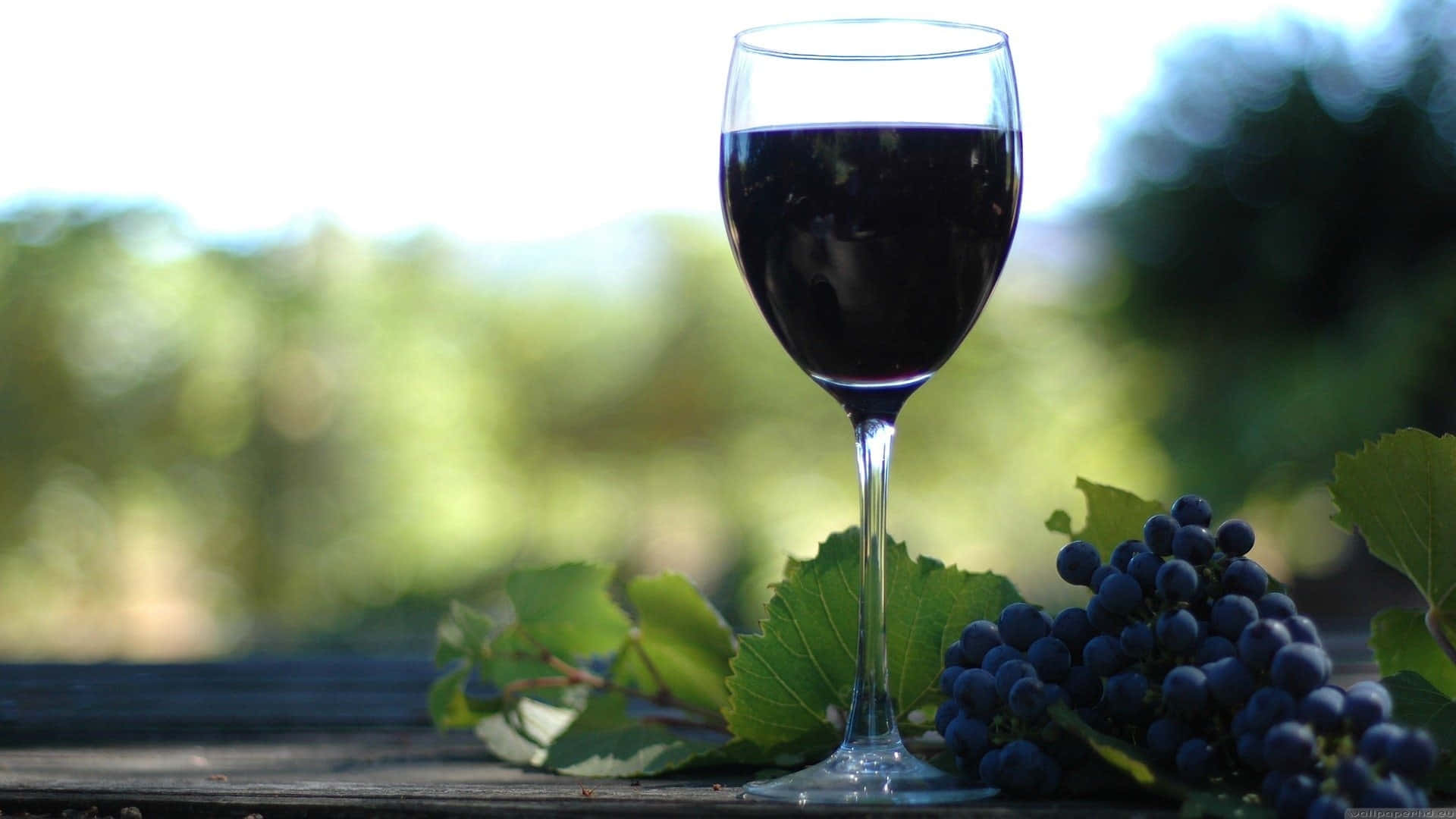 Black Wine, deep red wine, dark grapes, Full HD Desktop Wallpaper