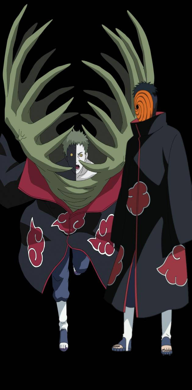Zetsu, black cloaks, red clouds, HD Phone Wallpaper