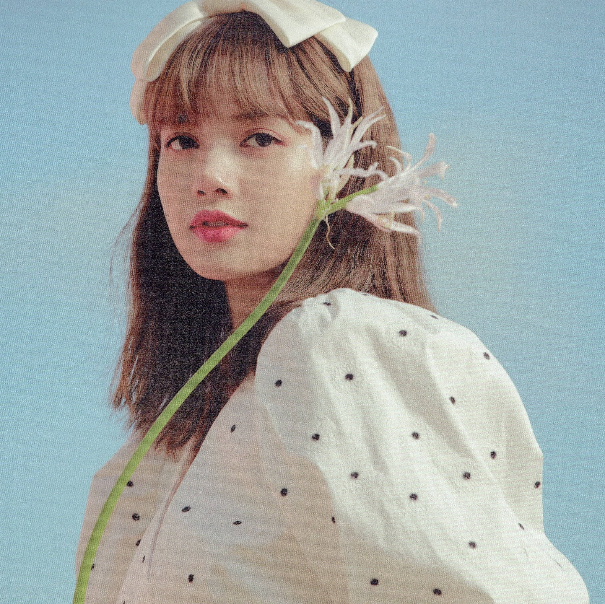 Lisa Blackpink, white bow headband, delicate white flower, Full HD Desktop Wallpaper