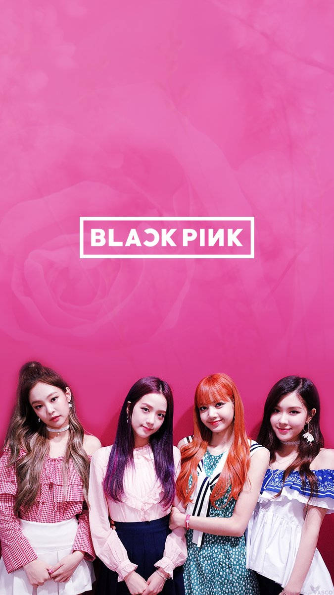 Blackpink, Rose, pink rose-patterned backdrop, SD Phone Wallpaper