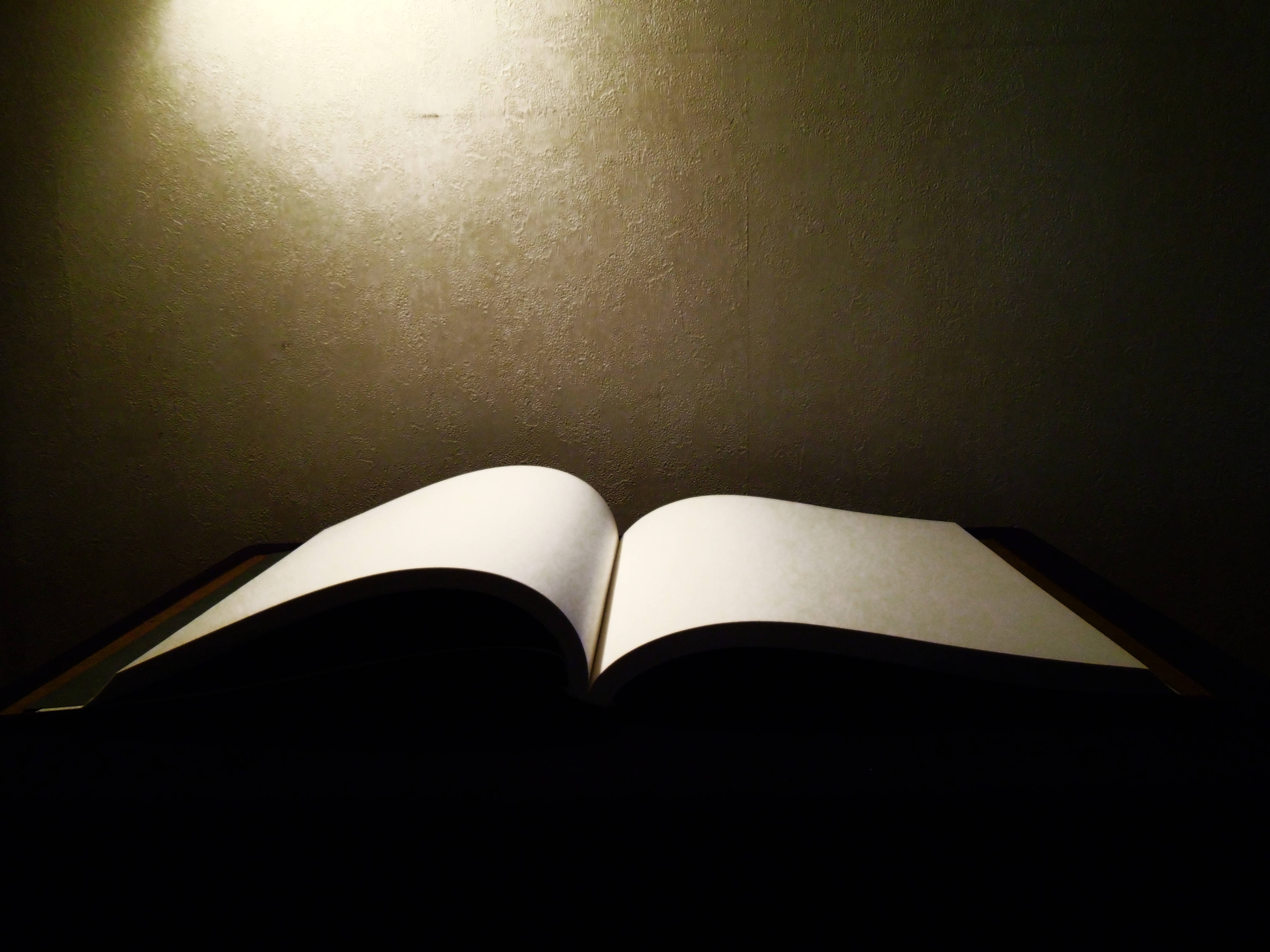 blank page, open book, dim light, 4K Desktop Wallpaper