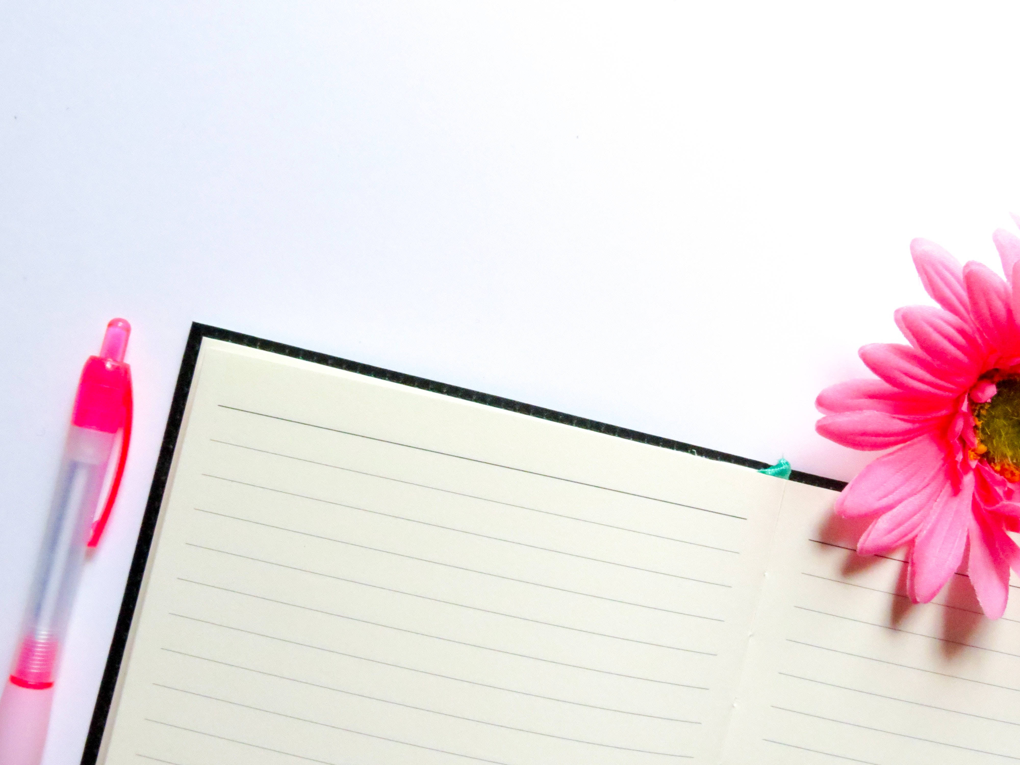 pink flower, open lined notebook, clean white surface, 4K Desktop Wallpaper
