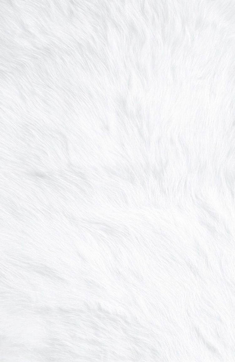 Blank White, white fur, soft fluffy, SD Phone Wallpaper