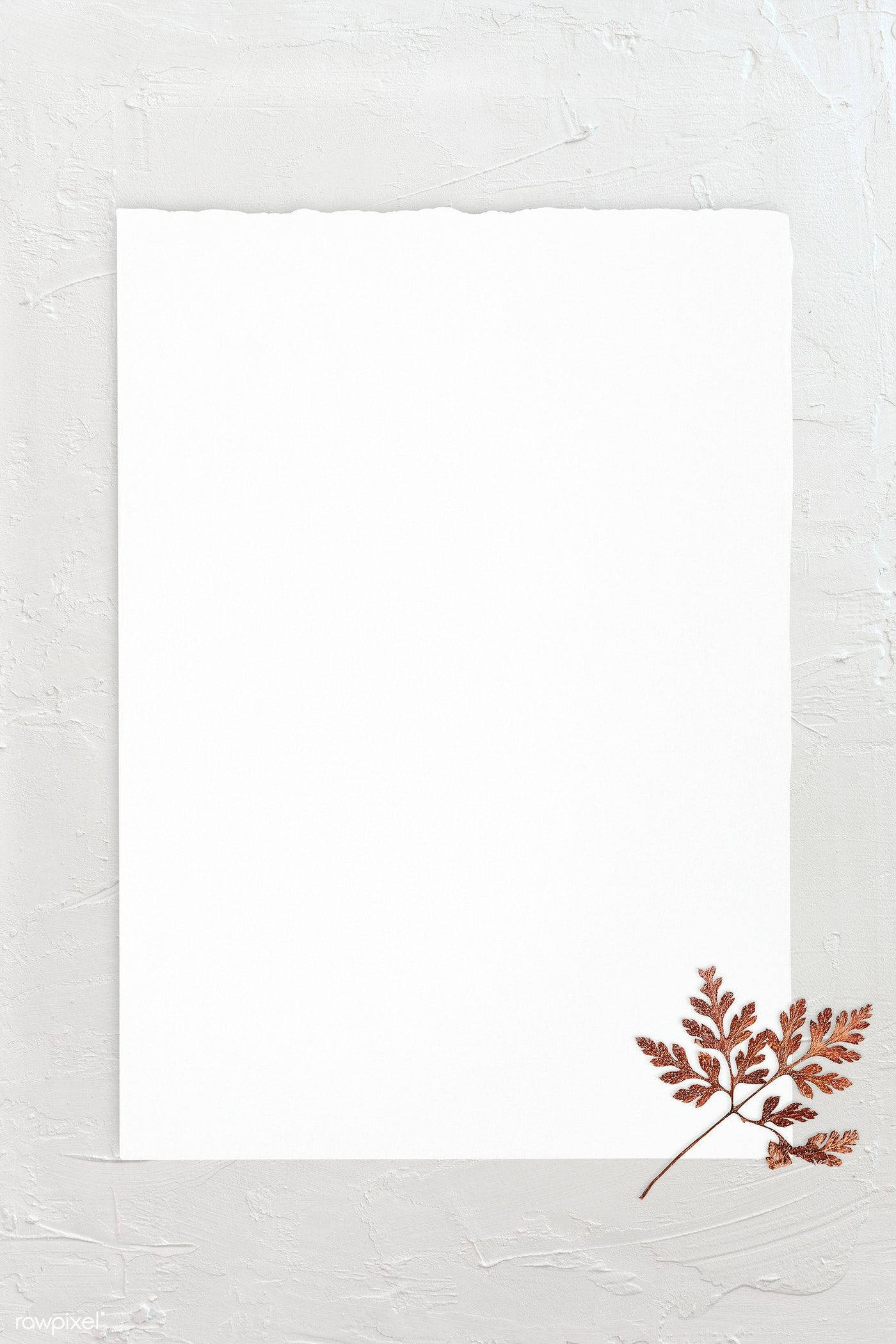 Blank White, copper-toned dried leaf, textured white surface, Full HD Phone Wallpaper
