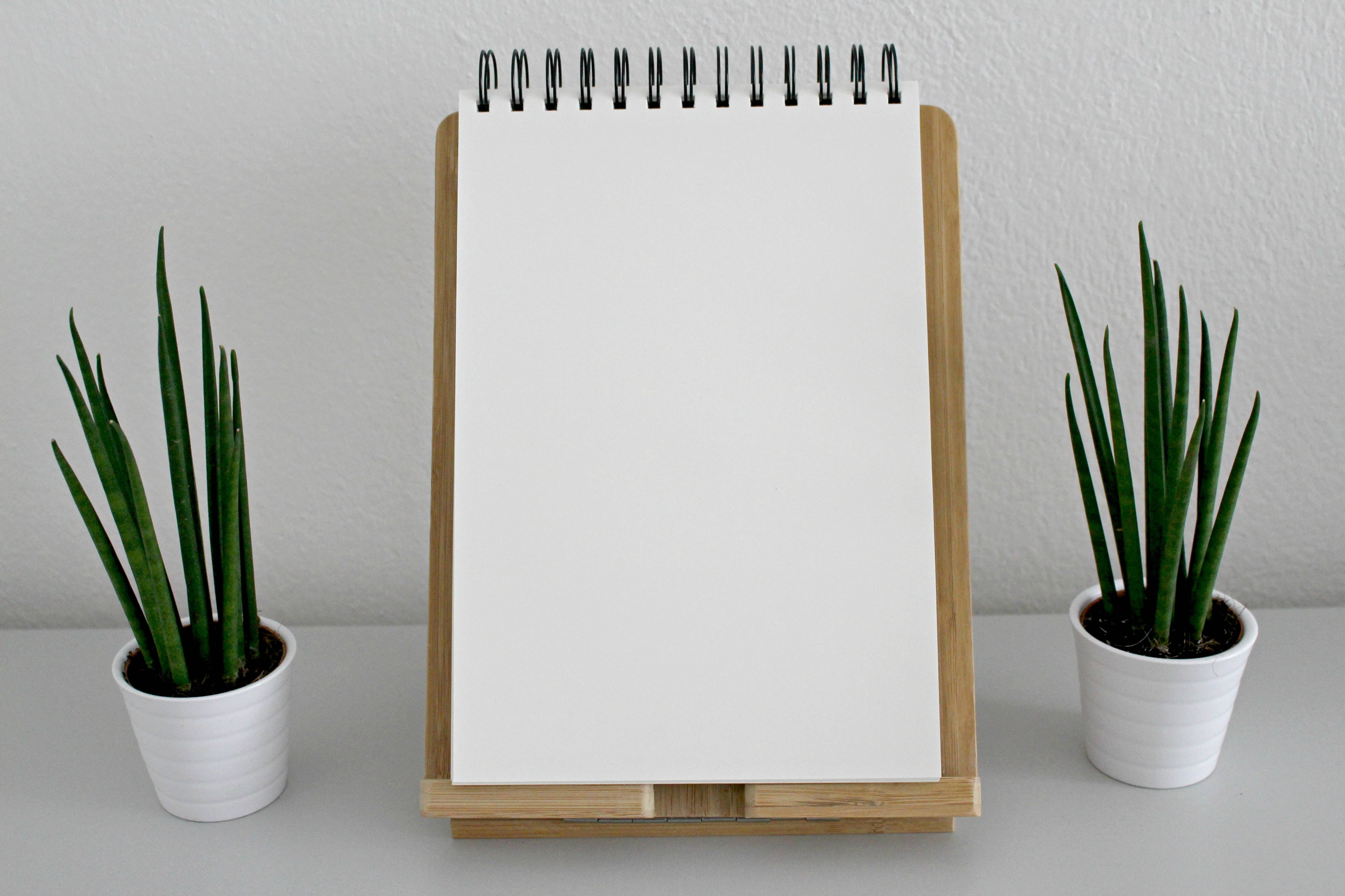blank spiral notebook, wooden stand, potted snake plants, 4K Desktop Wallpaper