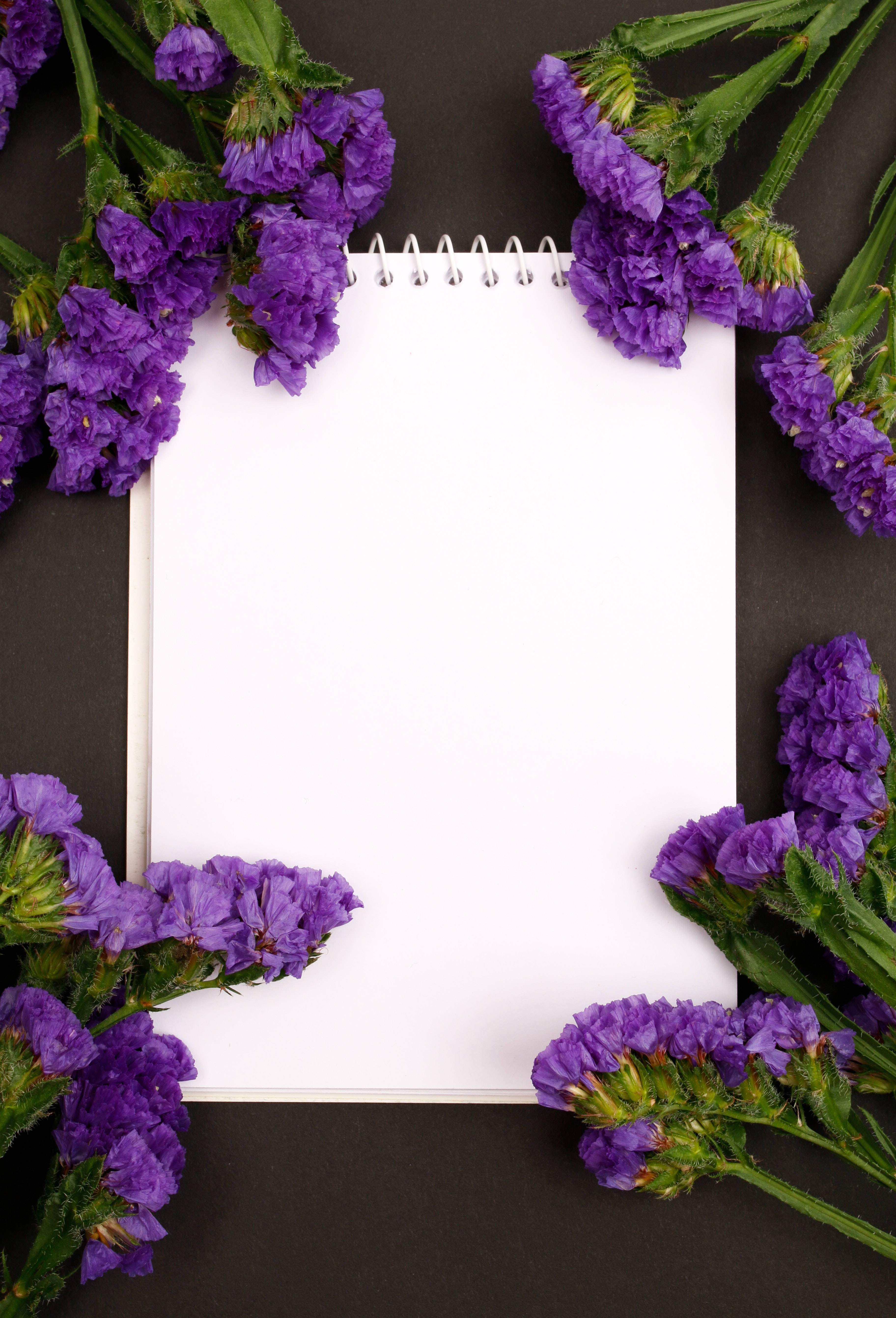 white spiral notebook, dark surface, vibrant purple statice flowers, 5K Phone Wallpaper