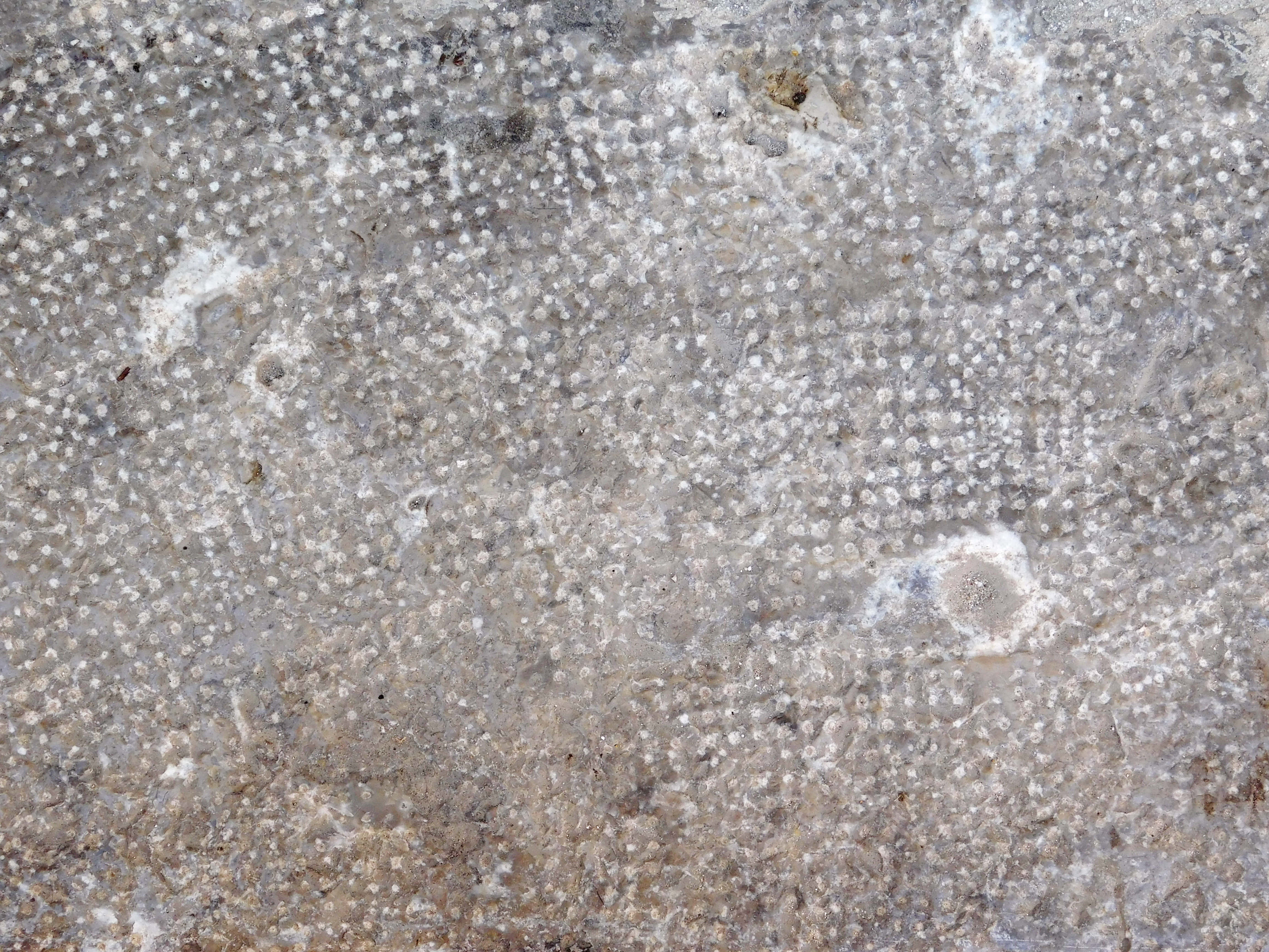 stone texture, rough textured stone surface, white speckles, 4K Desktop Wallpaper