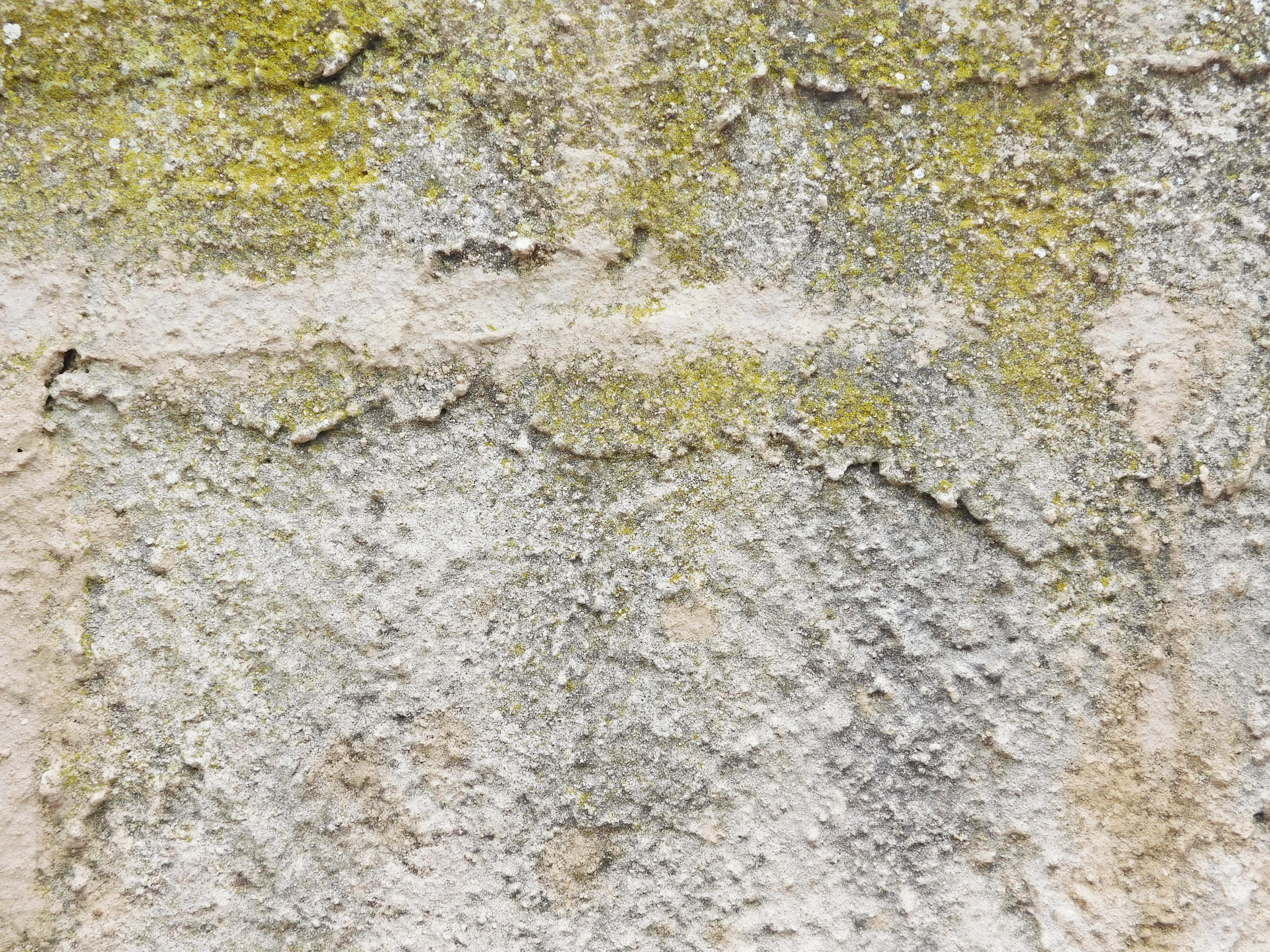 stone texture, weathered concrete wall, yellow-green moss, 4K Desktop Wallpaper