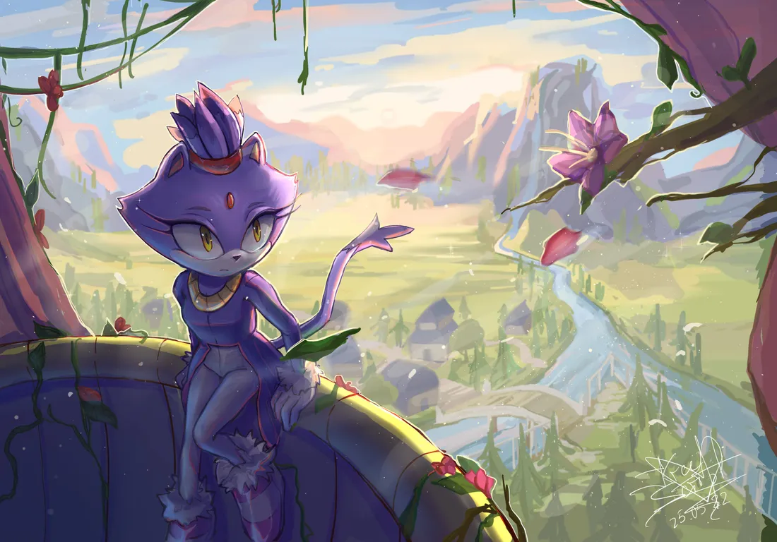 Blaze The Cat