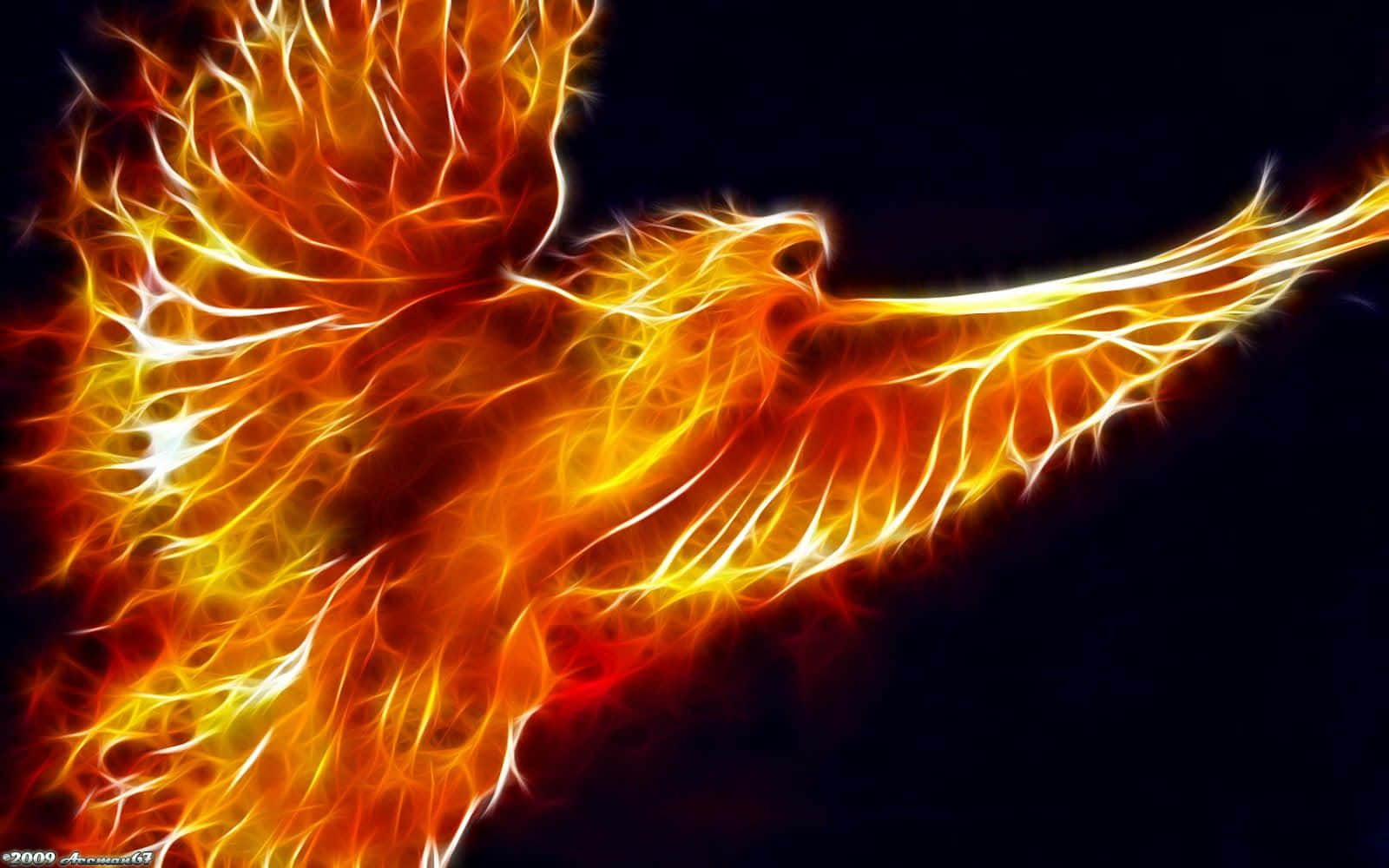phoenix, vibrant orange and yellow flames, stark black background, HD Desktop Wallpaper