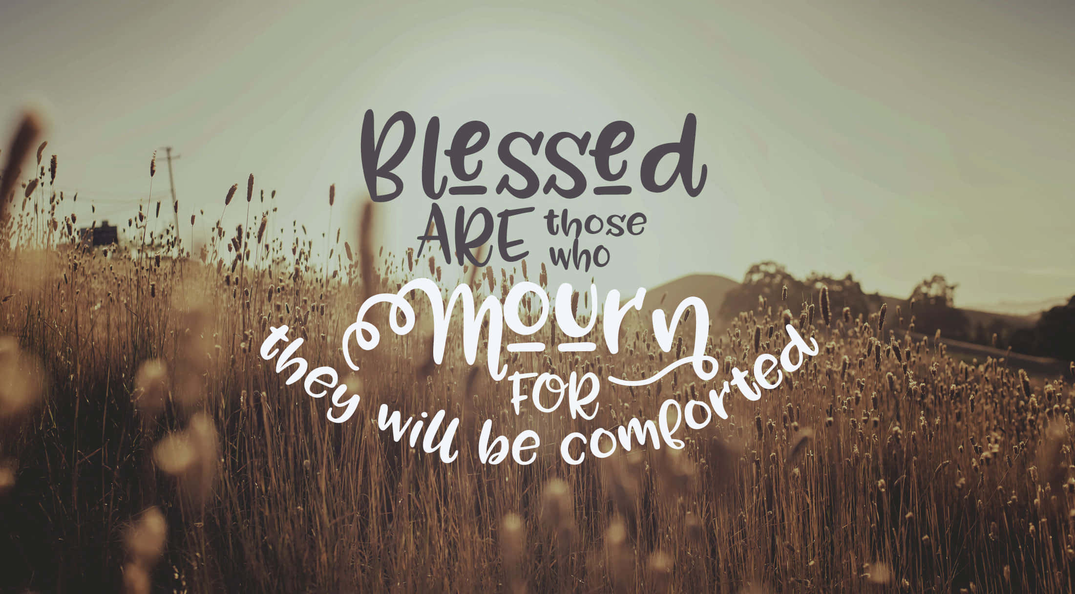 Blessed Quote, golden wheat field, inspirational text overlay, Full HD Desktop Wallpaper