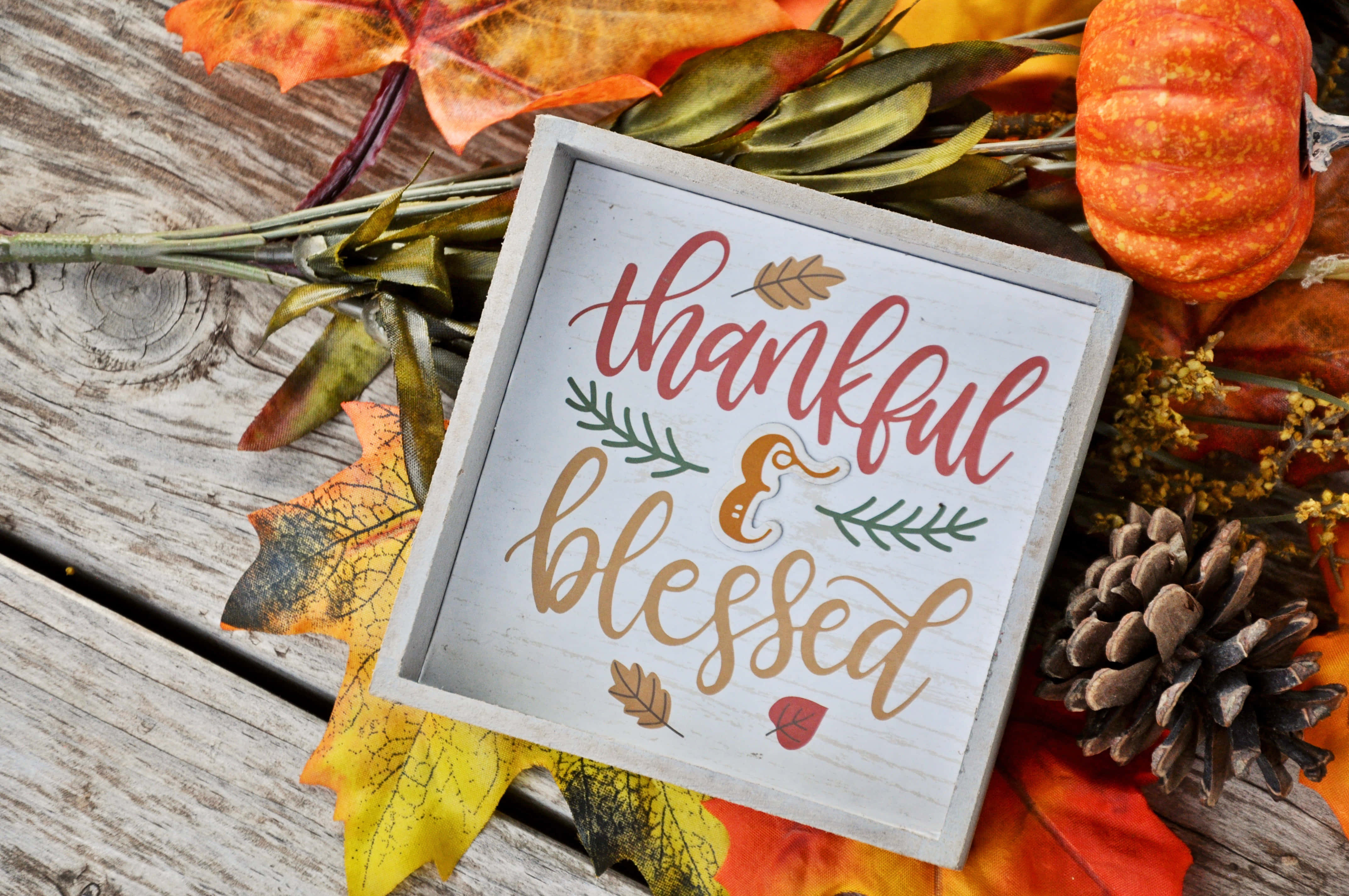 blessed, rustic wooden sign, autumn leaves, 4K Desktop Wallpaper
