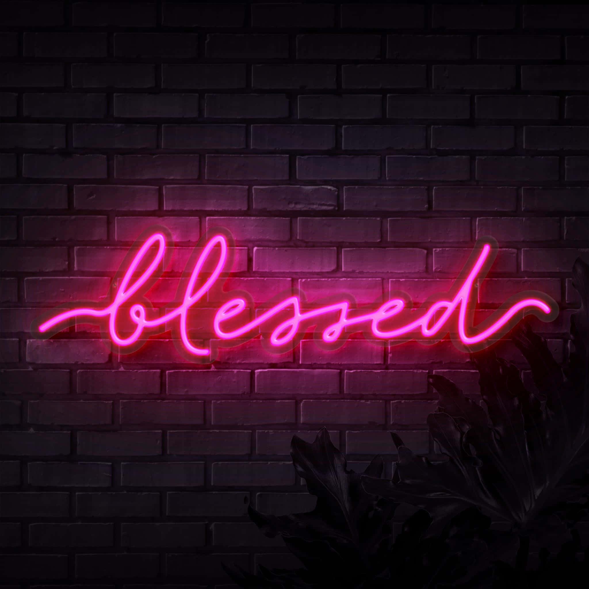 blessed, neon lights, pink neon sign, Full HD Desktop Wallpaper