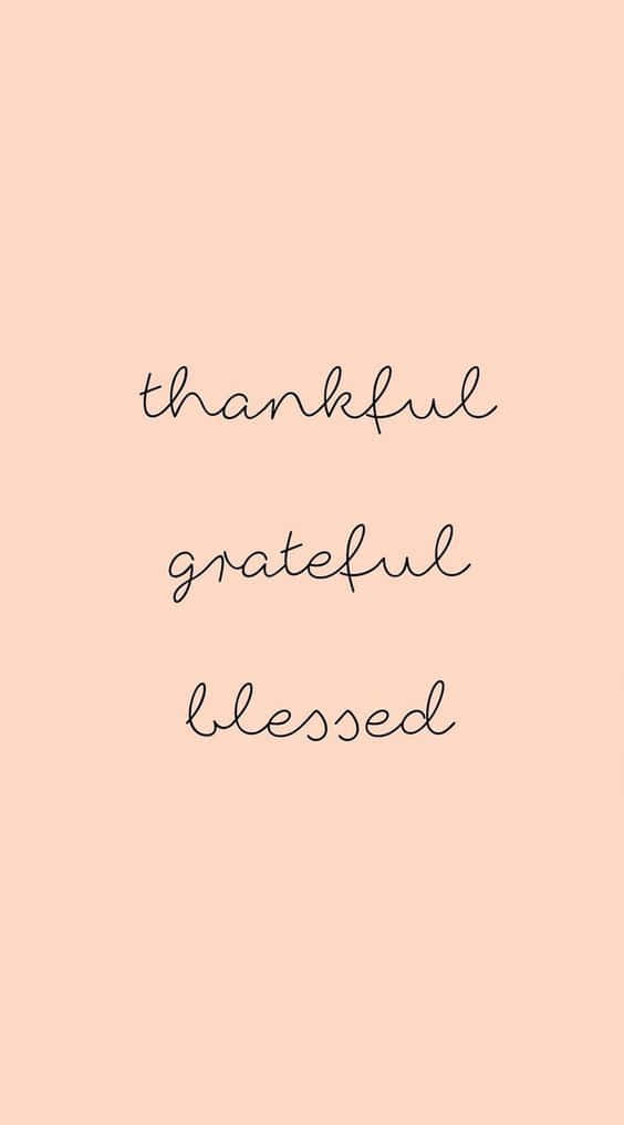 Blessed, pink background, soft peach background, SD Phone Wallpaper
