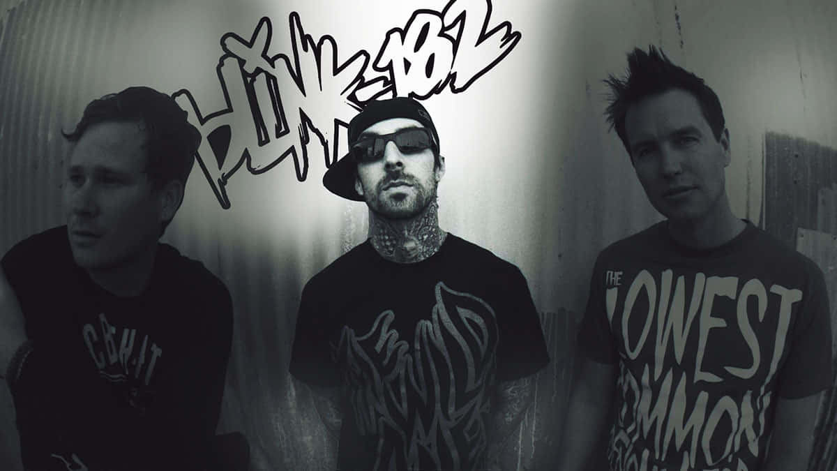 blink-182, corrugated wall, black and white, SD Desktop Wallpaper