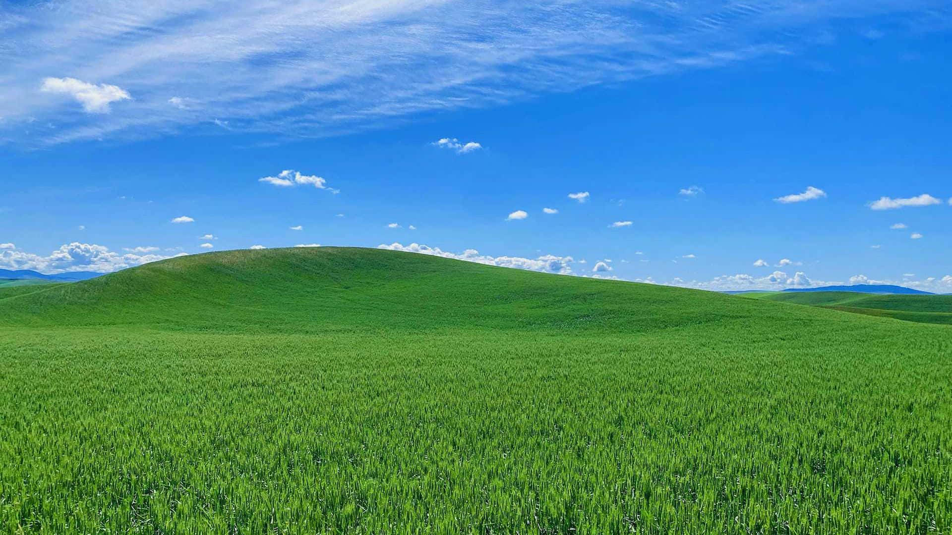 Bliss, green, rolling hills, Full HD Desktop Wallpaper