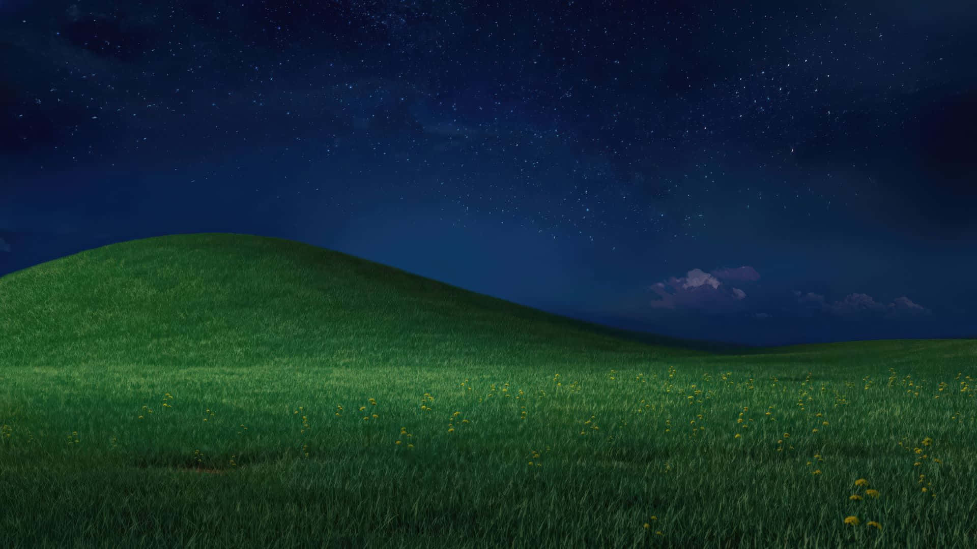 Blissful Green Hill Night, starry night sky, yellow wildflowers, Full HD Desktop Wallpaper
