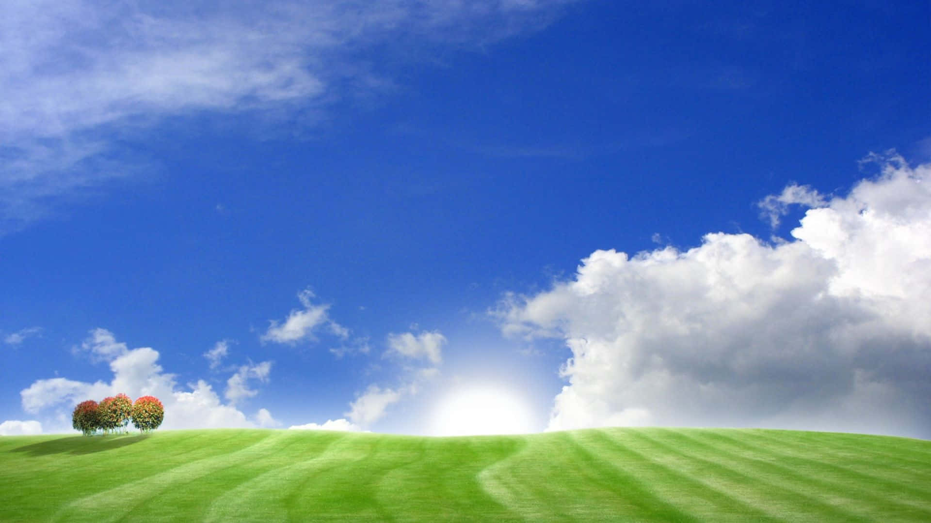 blissful green field, lush green hill, three colorful trees, Full HD Desktop Wallpaper