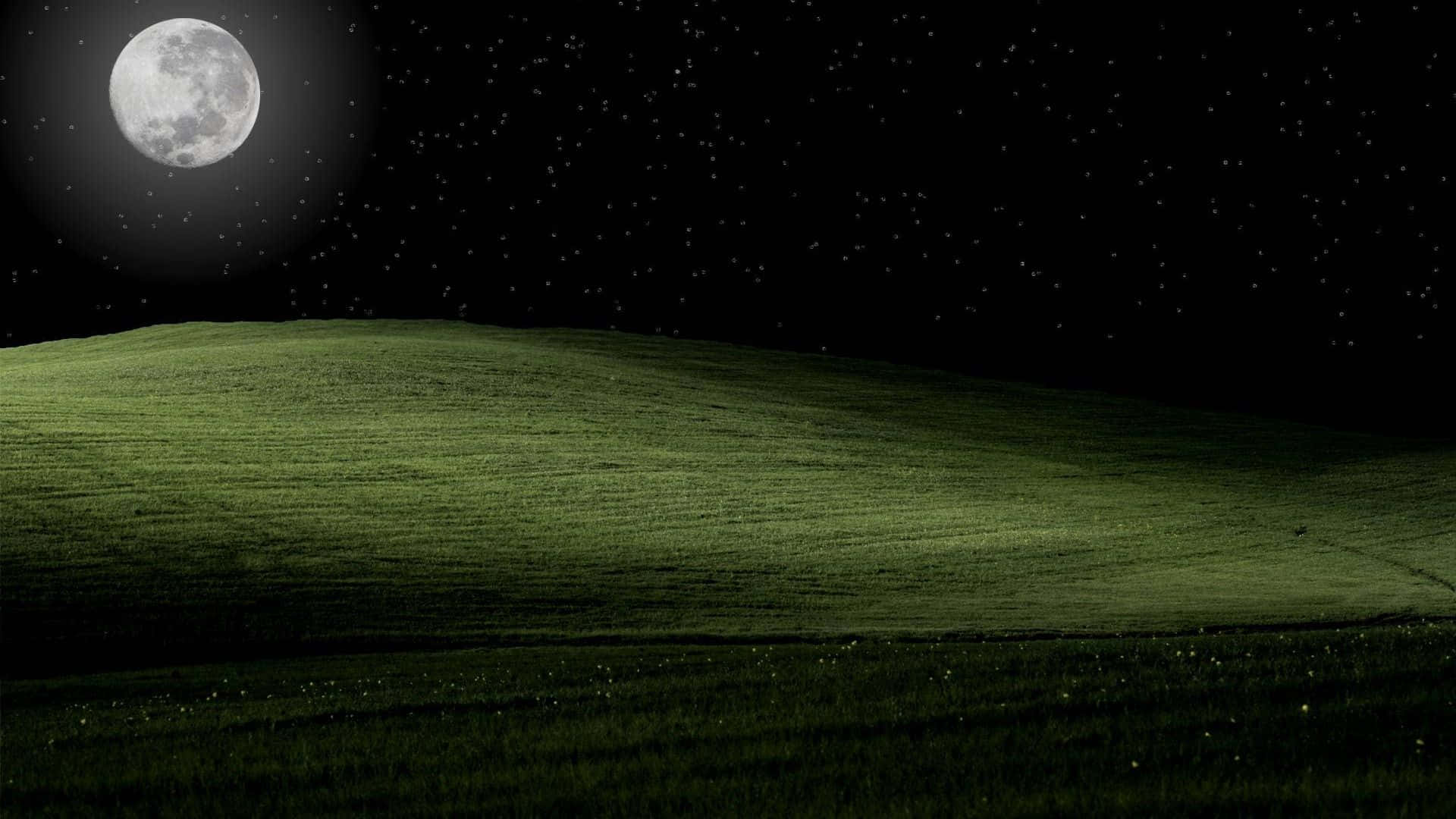 moonlit field, starry sky, full moon, Full HD Desktop Wallpaper