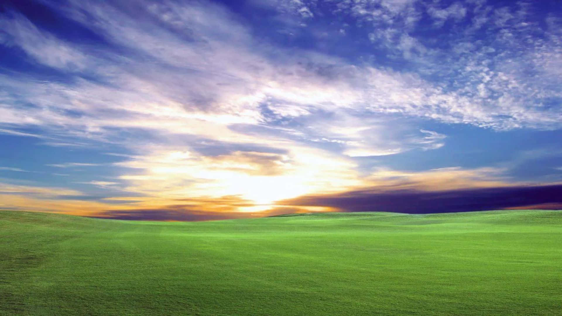 Bliss, sunrise, green field, Full HD Desktop Wallpaper