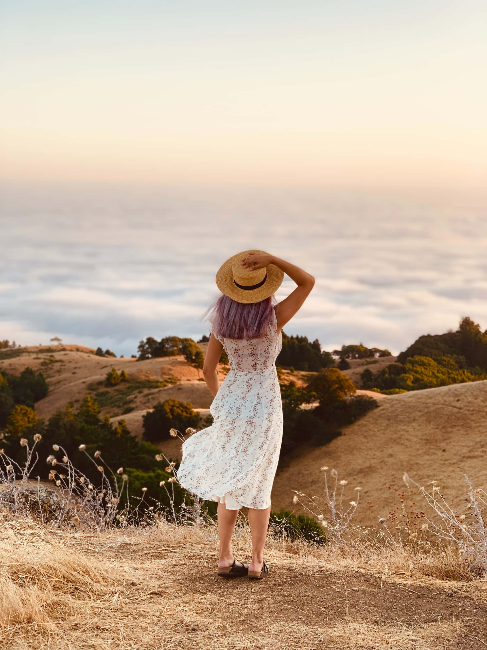 purple hair, white floral dress, sunlit hilltop, 2K Phone Wallpaper