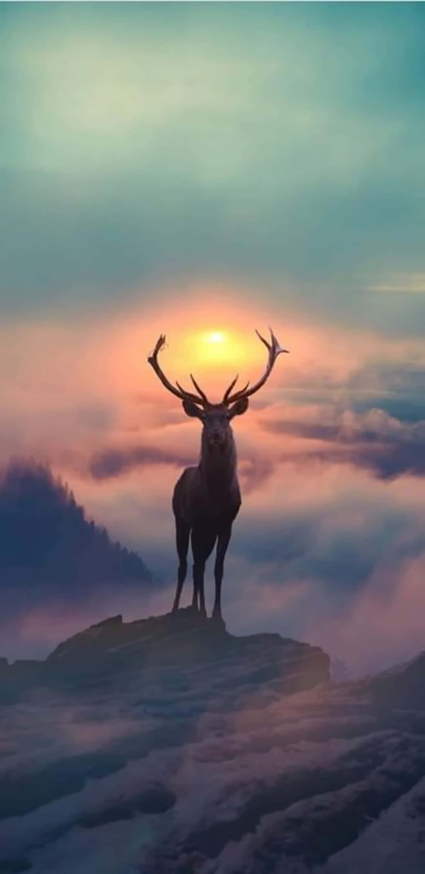 stag, snowy peak, glowing sunrise, 2K Phone Wallpaper