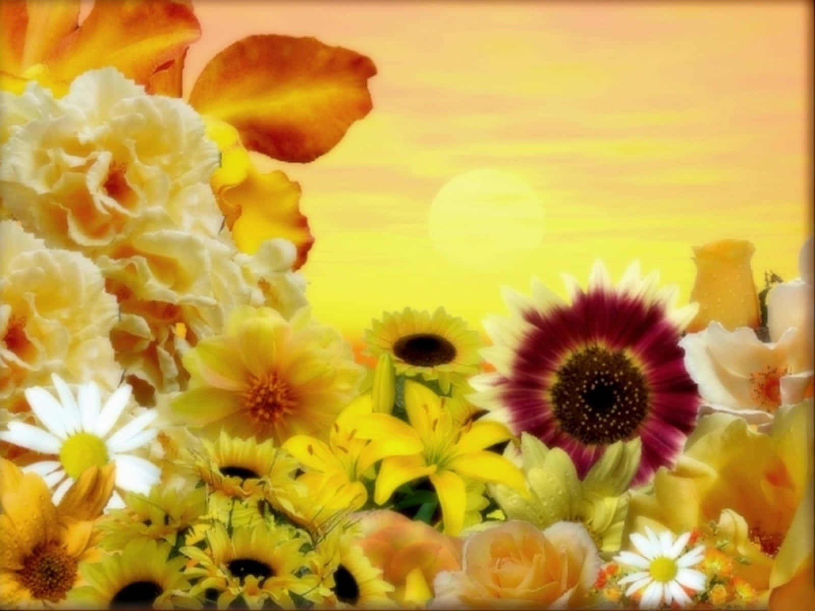 yellow sunflowers, daisies, roses, HD Desktop Wallpaper