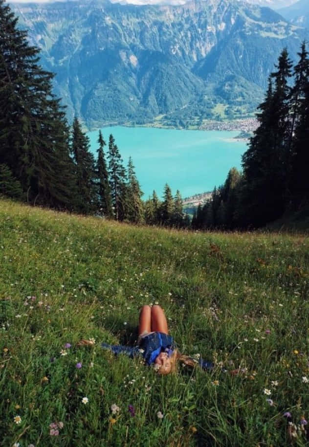 blissful, 632 x 914, sunlit meadow, SD Phone Wallpaper