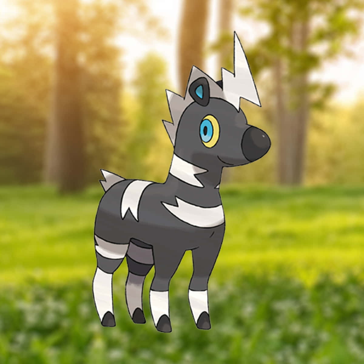 Blitzle, forest, sunlit grassy field, SD Desktop Wallpaper