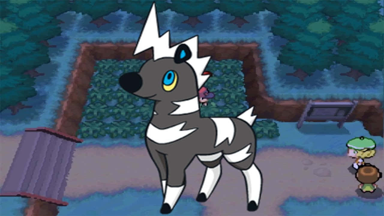 Blitzle, Pokémon map area, gray and white lightning bolt markings, HD Desktop Wallpaper