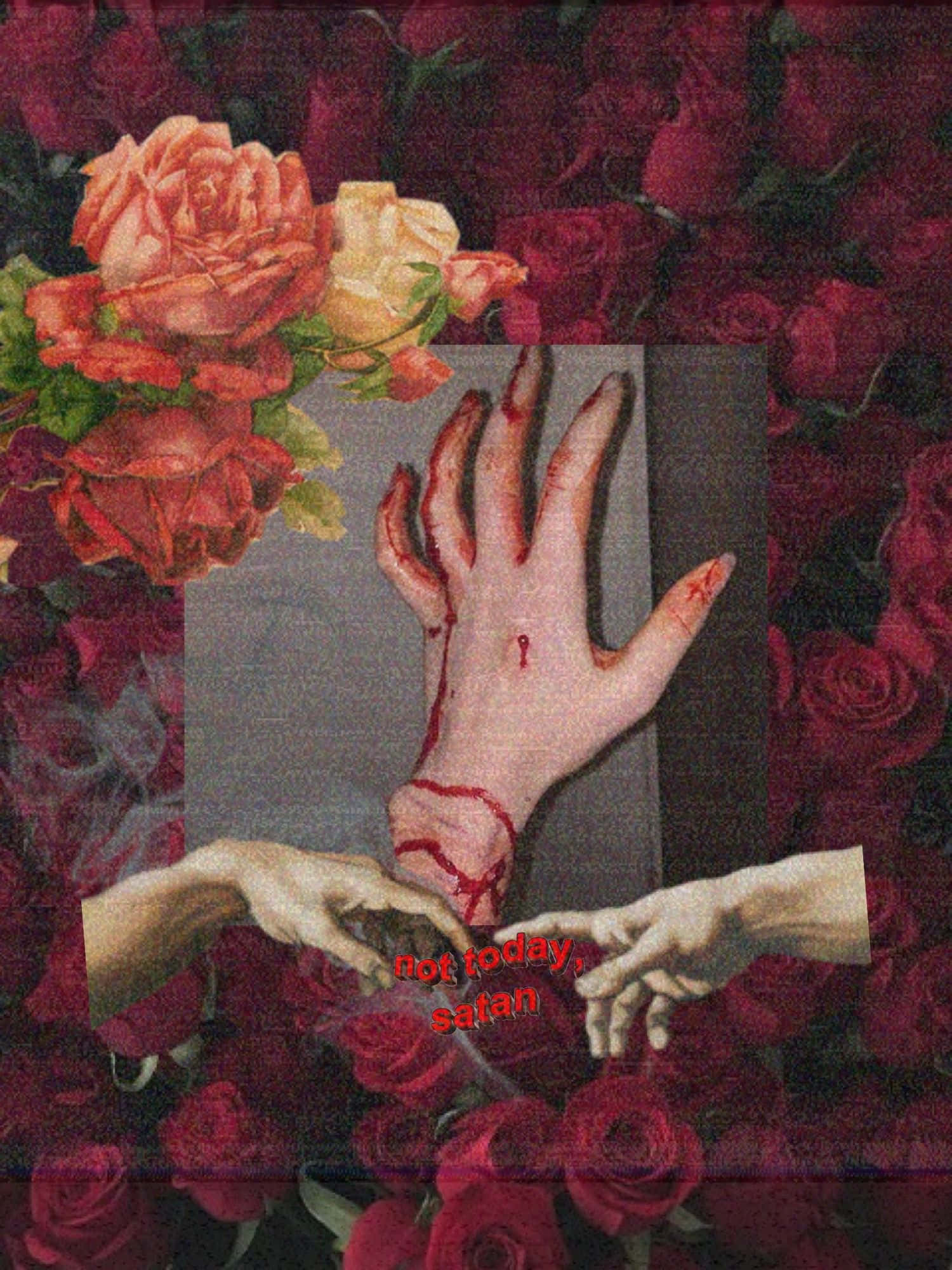 Blood Aesthetic, gray box, deep red roses, Full HD Phone Wallpaper