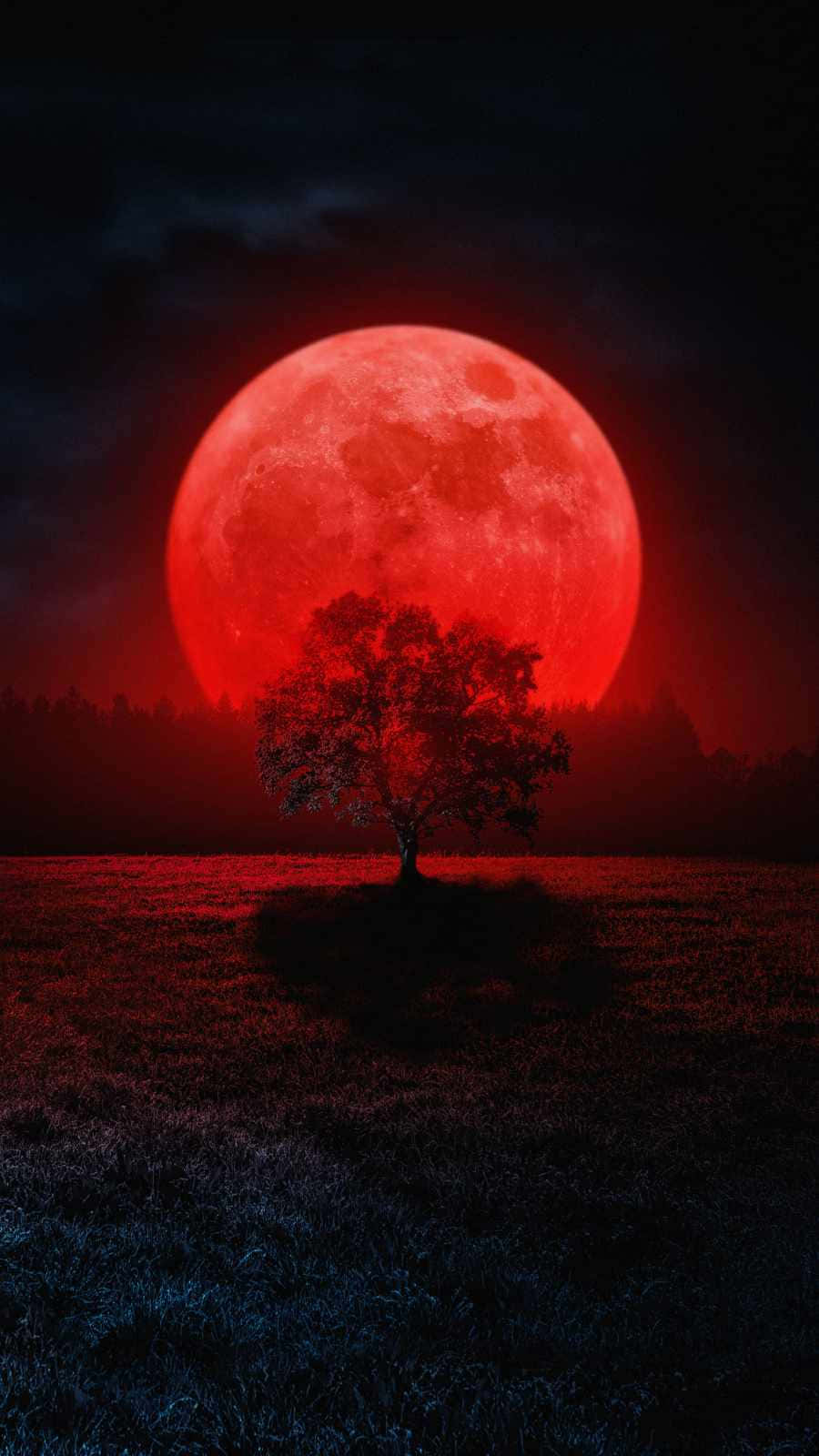 Blood Moon Tree, massive glowing red moon, eerie red light, HD Phone Wallpaper